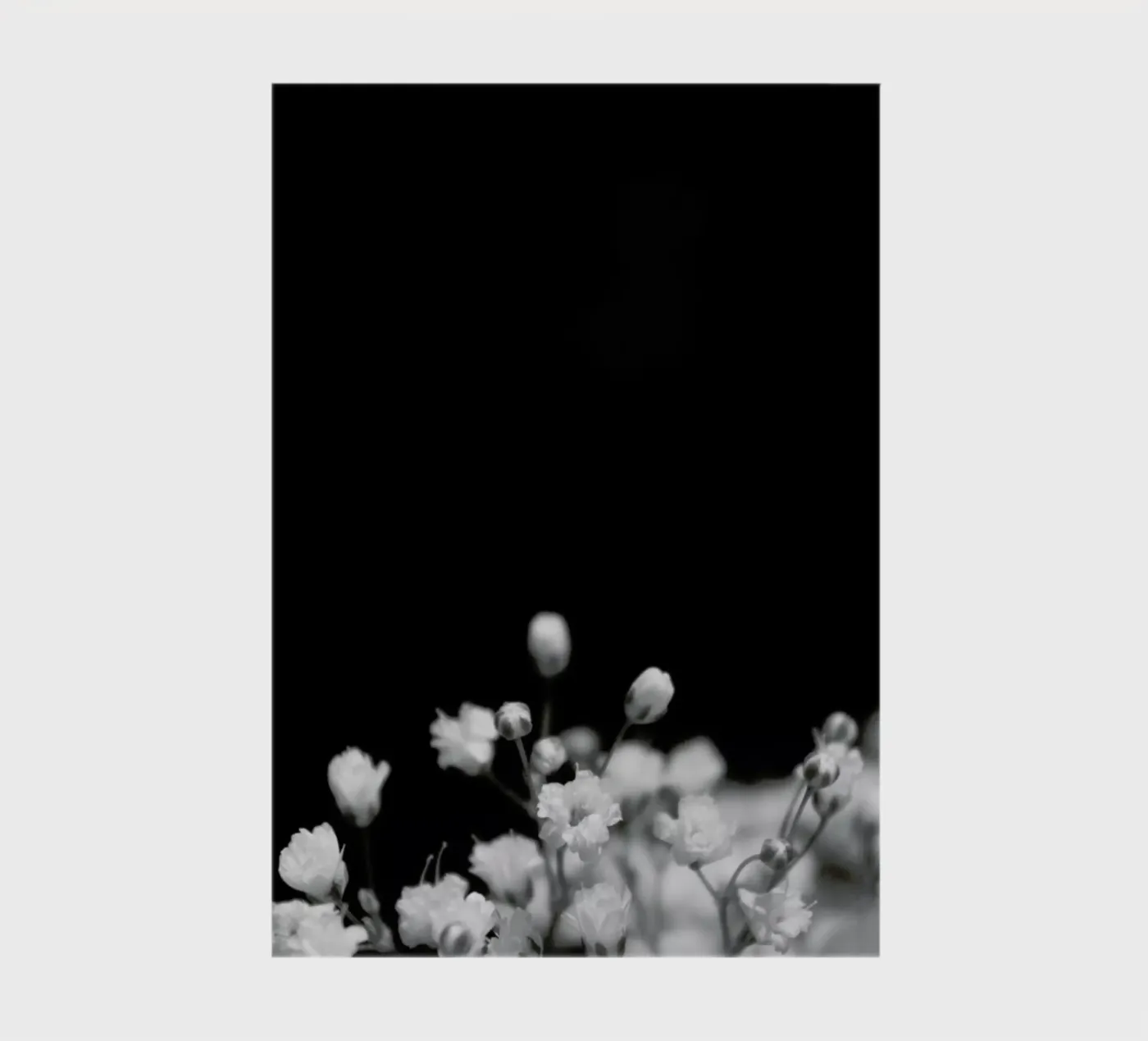 Bloom II notebook by Victoria Frost