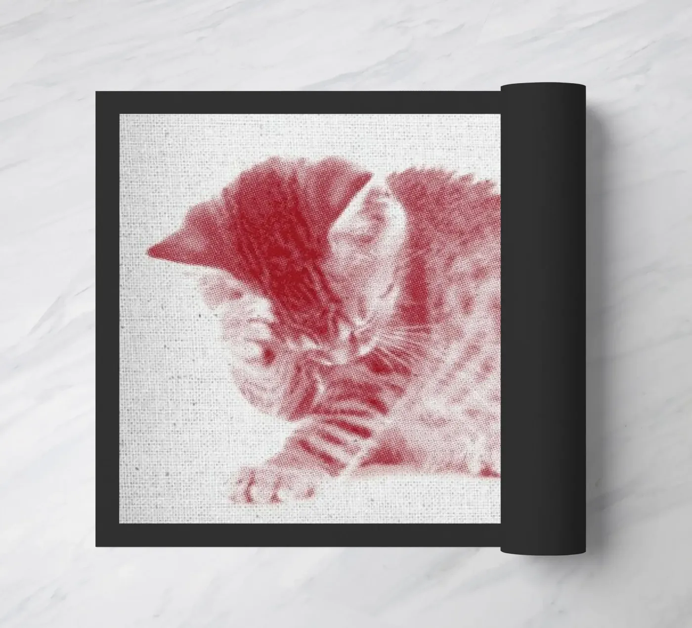 Kätzchen 01 zerbino da Froilein Juno