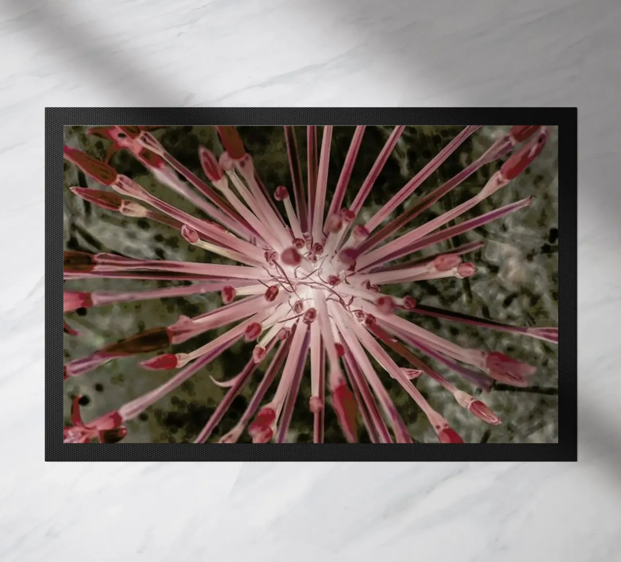 Fire Lilly zerbino da Shot By Clint