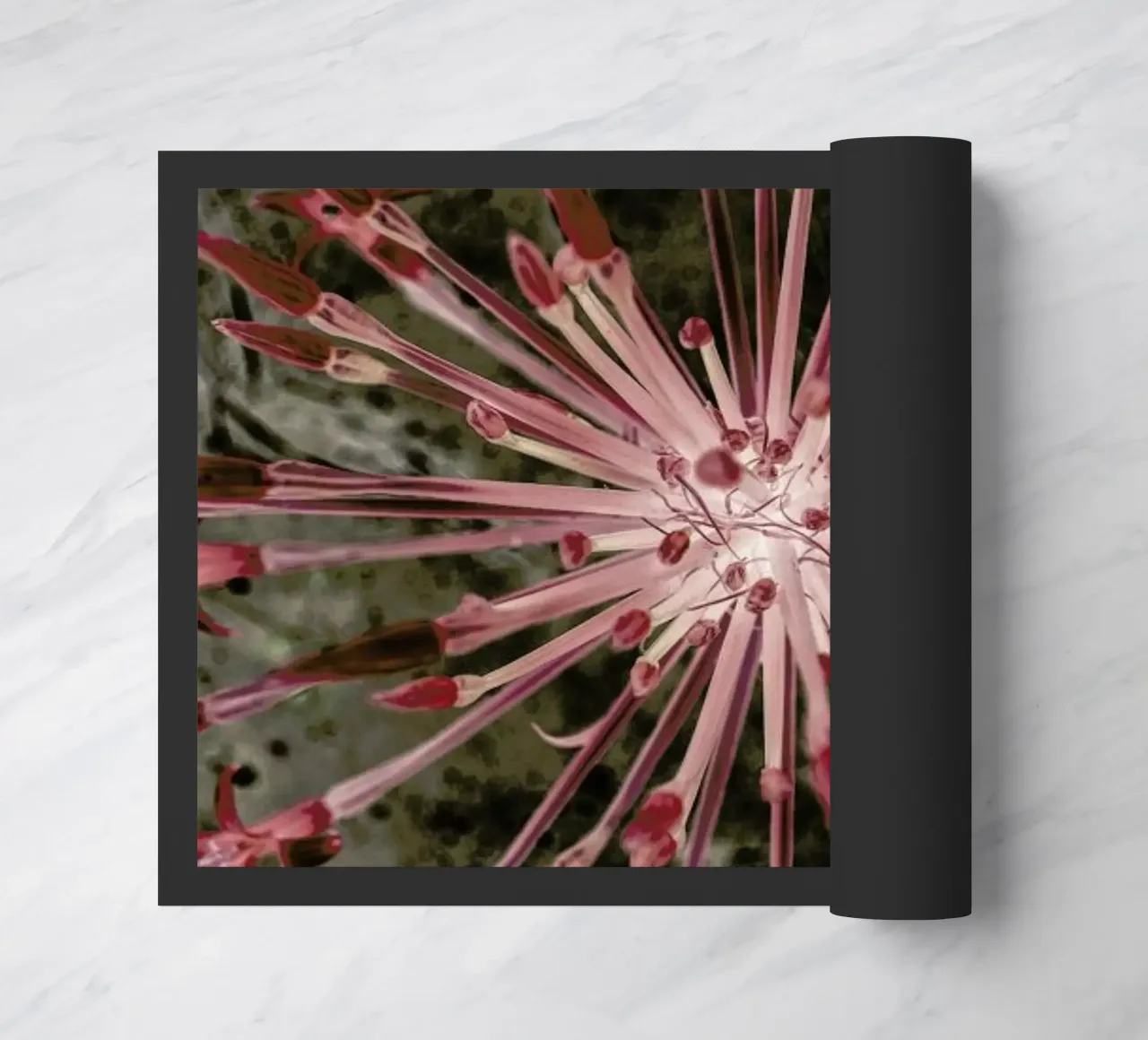 Fire Lilly zerbino da Shot By Clint