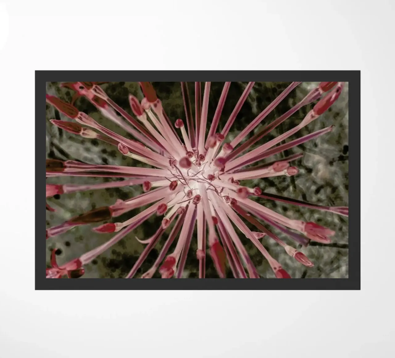 Fire Lilly zerbino da Shot By Clint