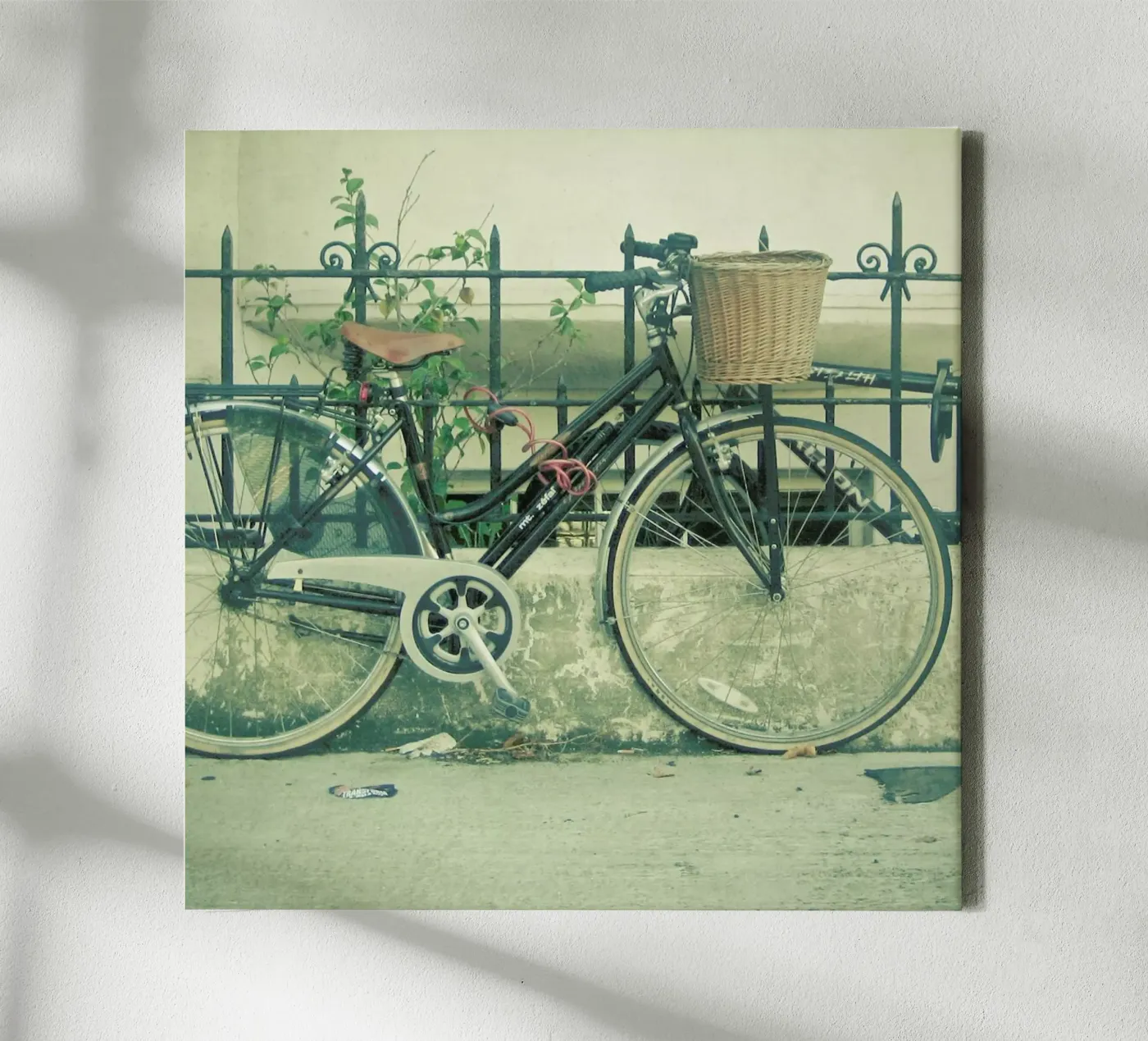 Day-Tripper canvas by Cassia Beck Photography