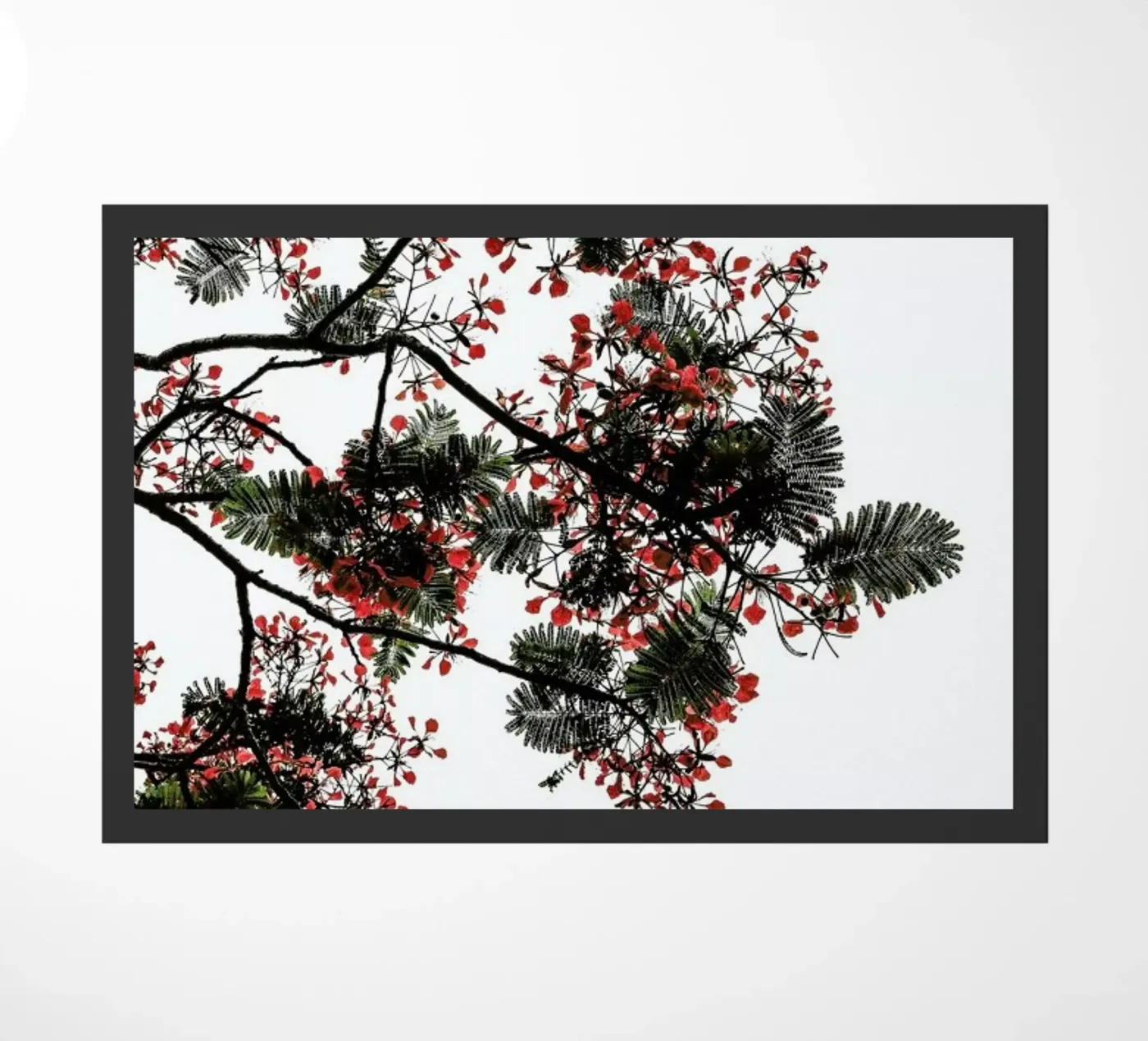 Flamboyant Fußmatte von Shot By Clint