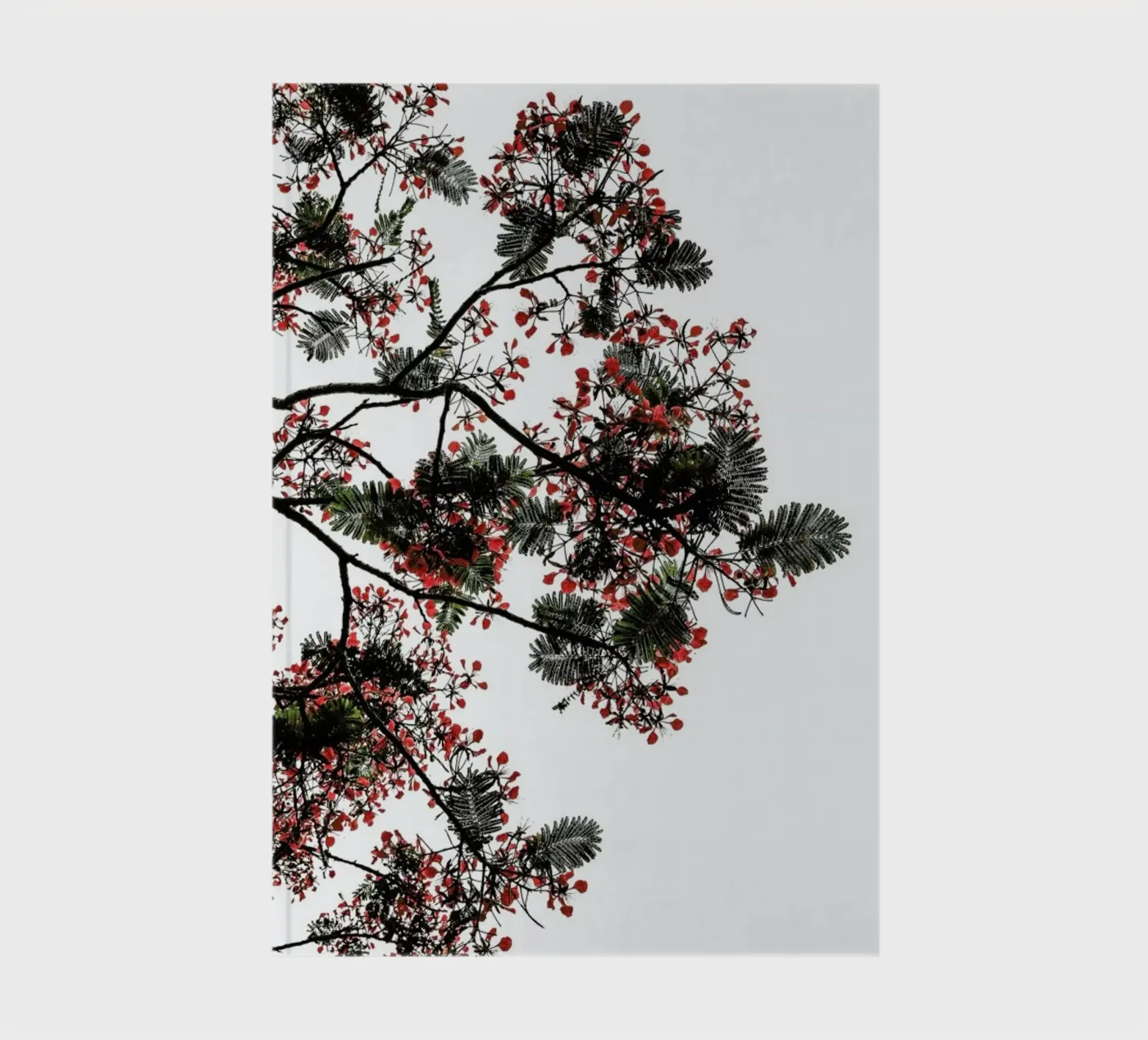 Flamboyant notebook by Shot By Clint