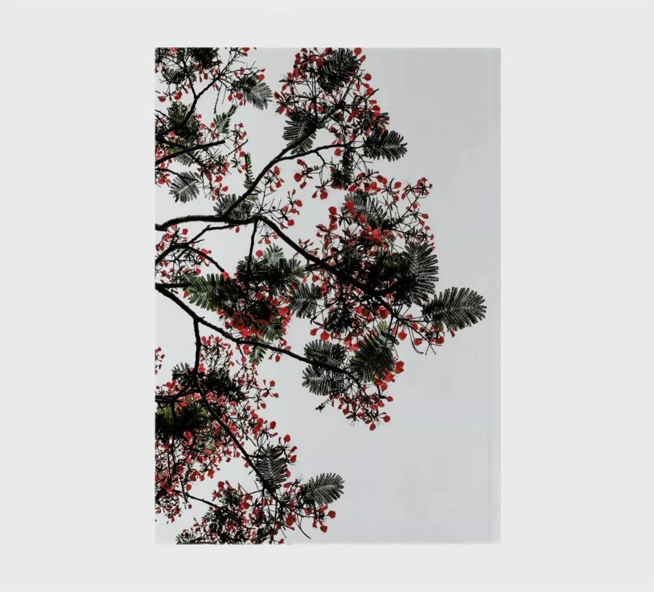 Flamboyant notebook by Shot By Clint