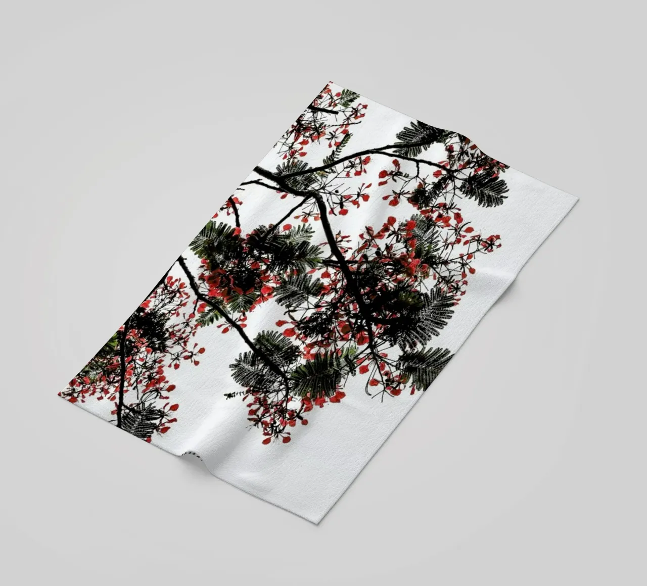 Flamboyant telo mare da Shot By Clint