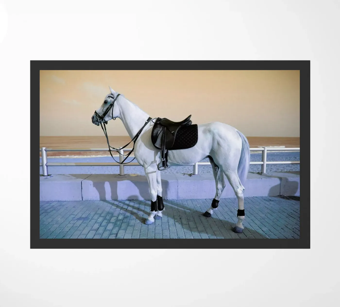 Horse zerbino da Lara Zankoul
