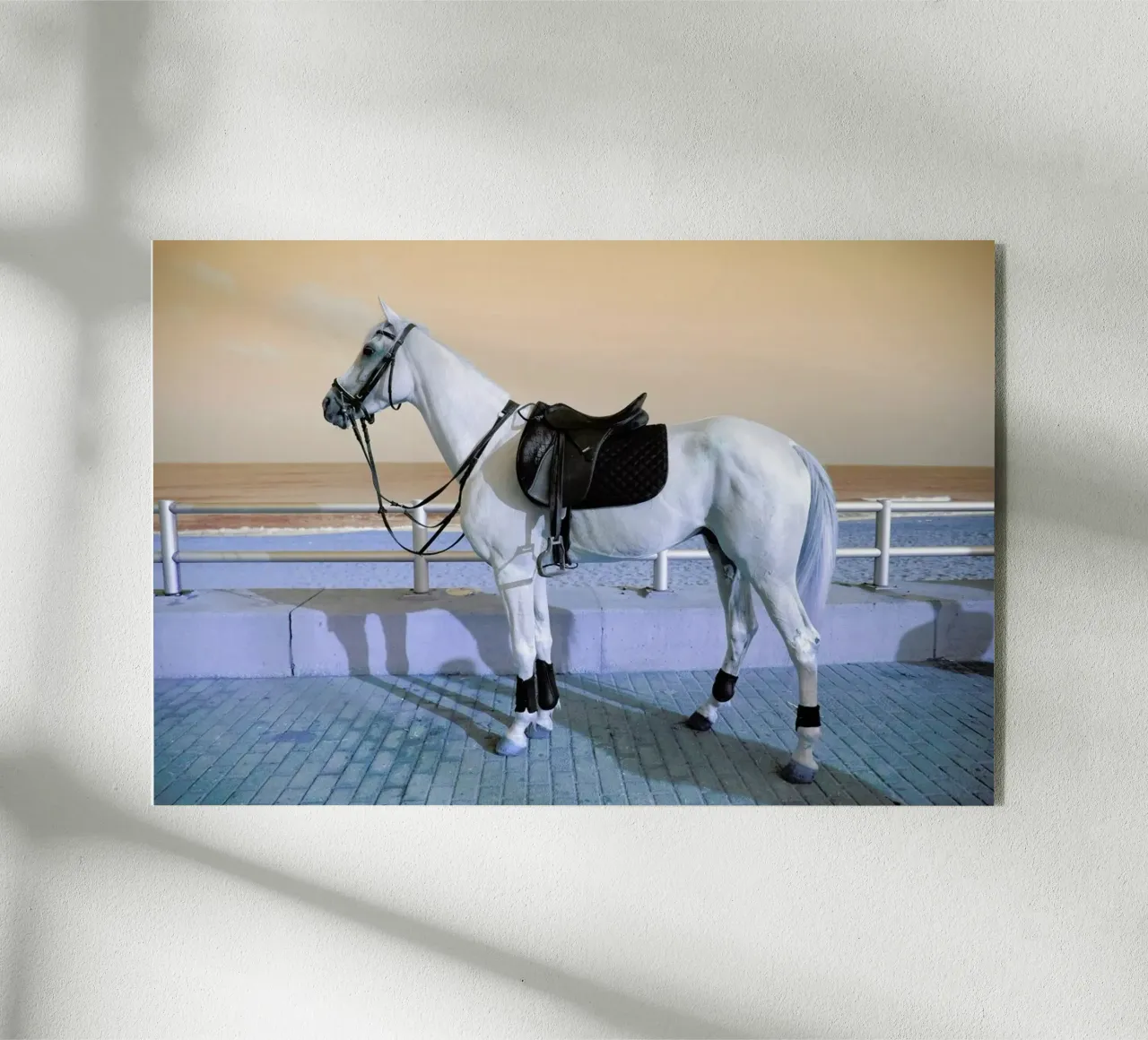 Horse plexiglass da Lara Zankoul