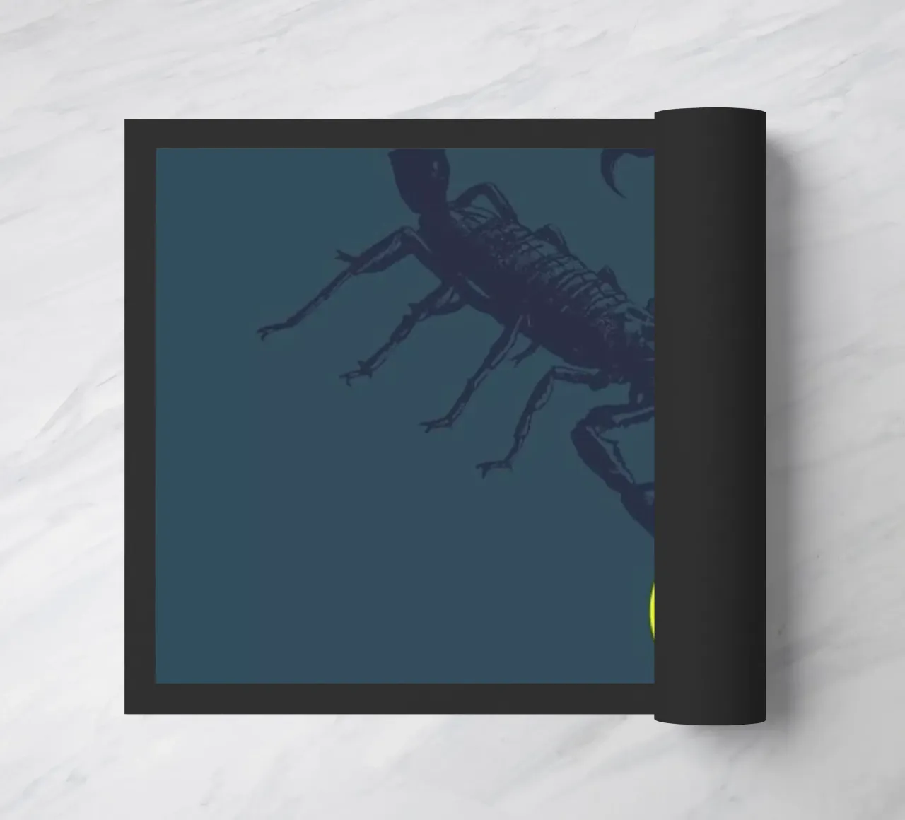 Oldskool 6 zerbino da Evita Witzenhausen