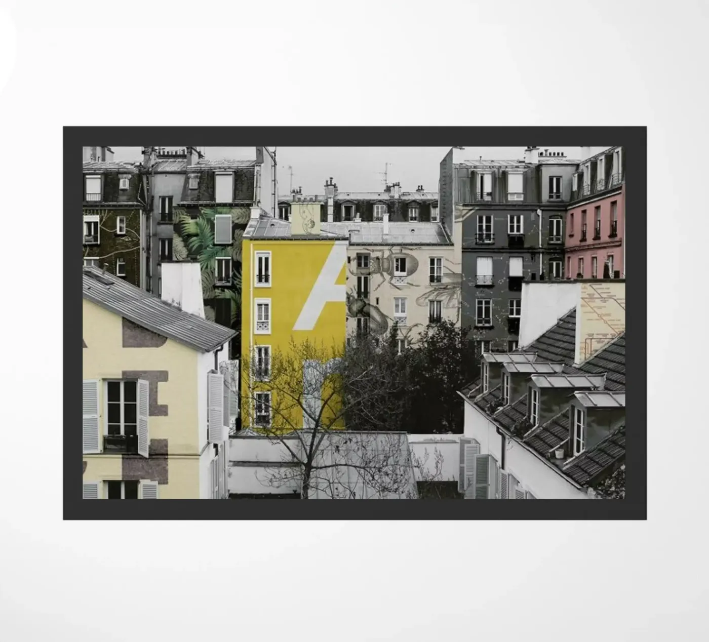Paris zerbino da Florent Bodart
