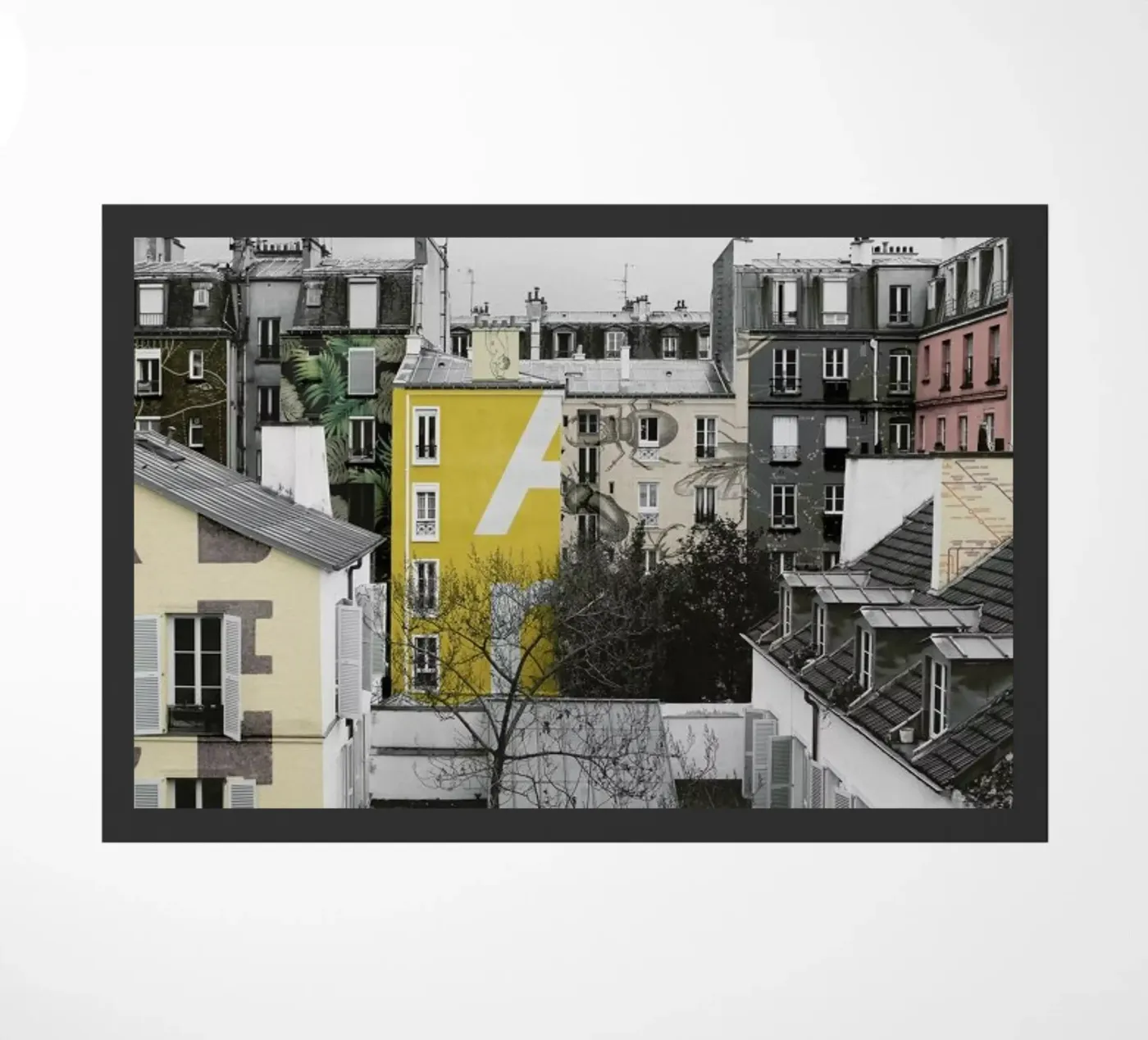 Paris zerbino da Florent Bodart