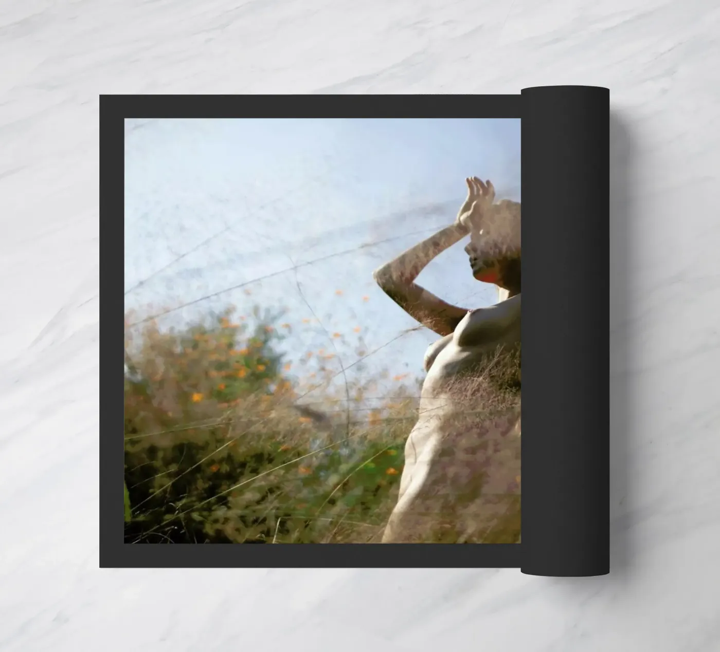 Andra 12 zerbino da Ana Topoleanu