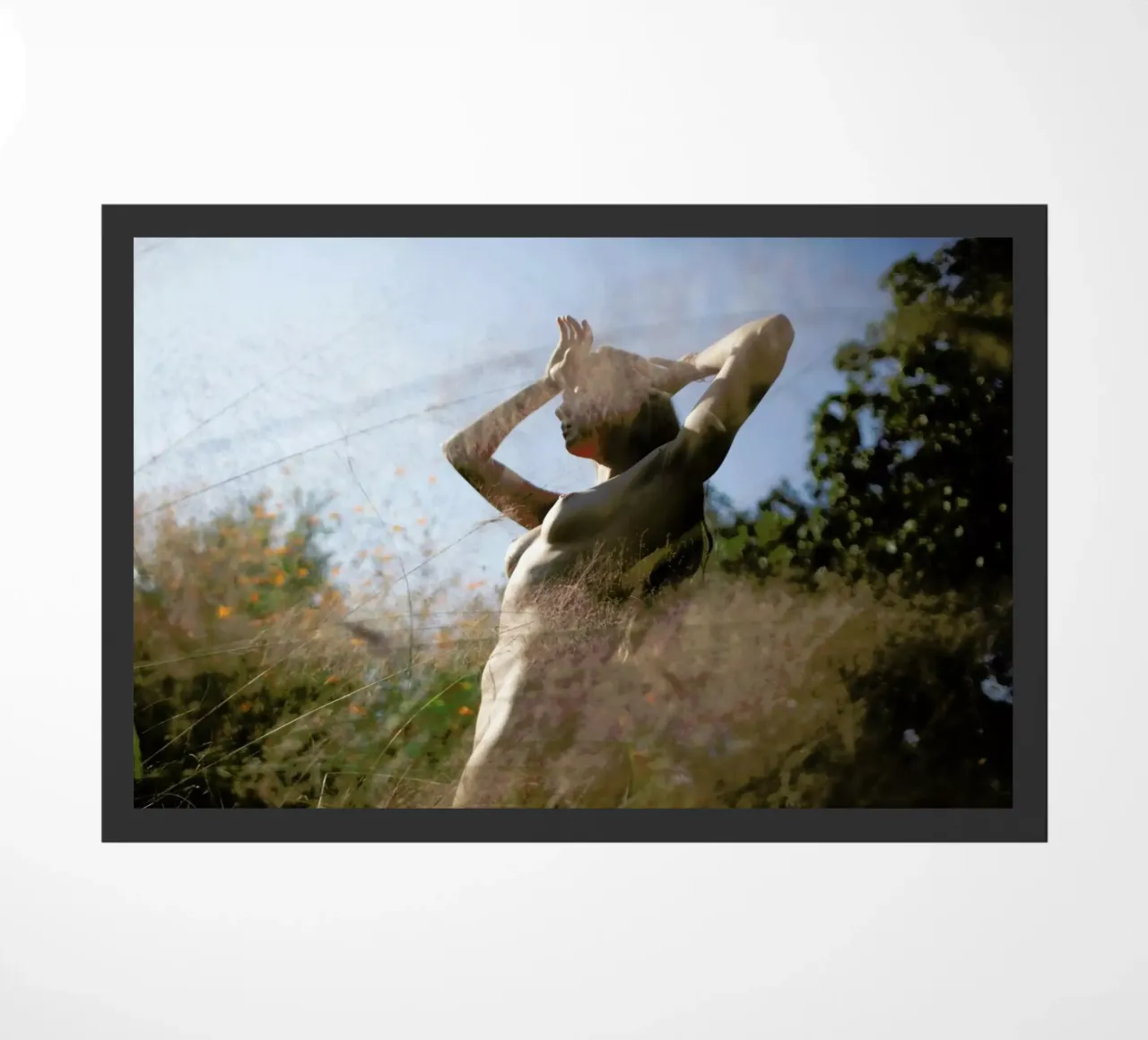 Andra 12 zerbino da Ana Topoleanu