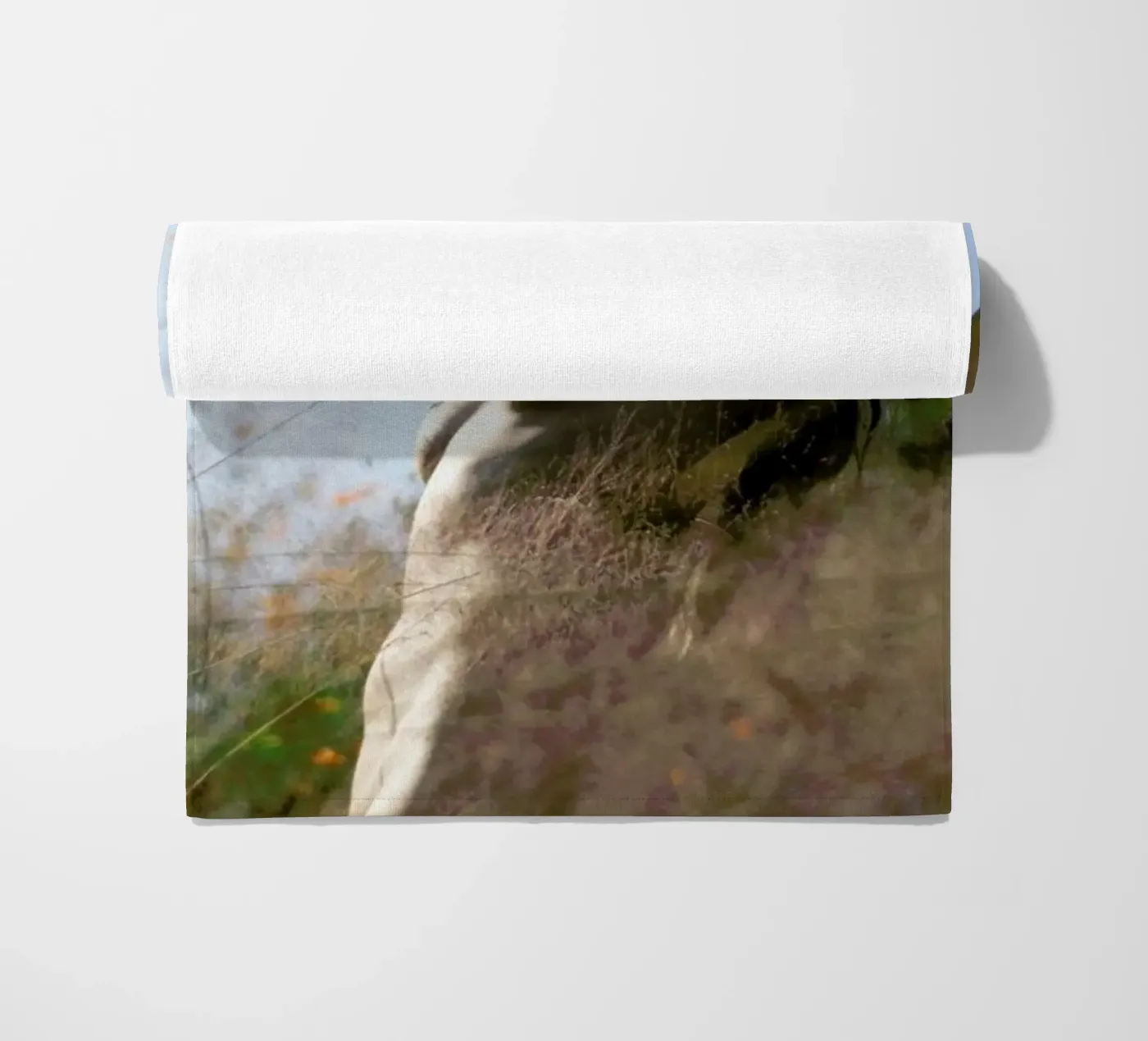 Andra 12 telo mare da Ana Topoleanu