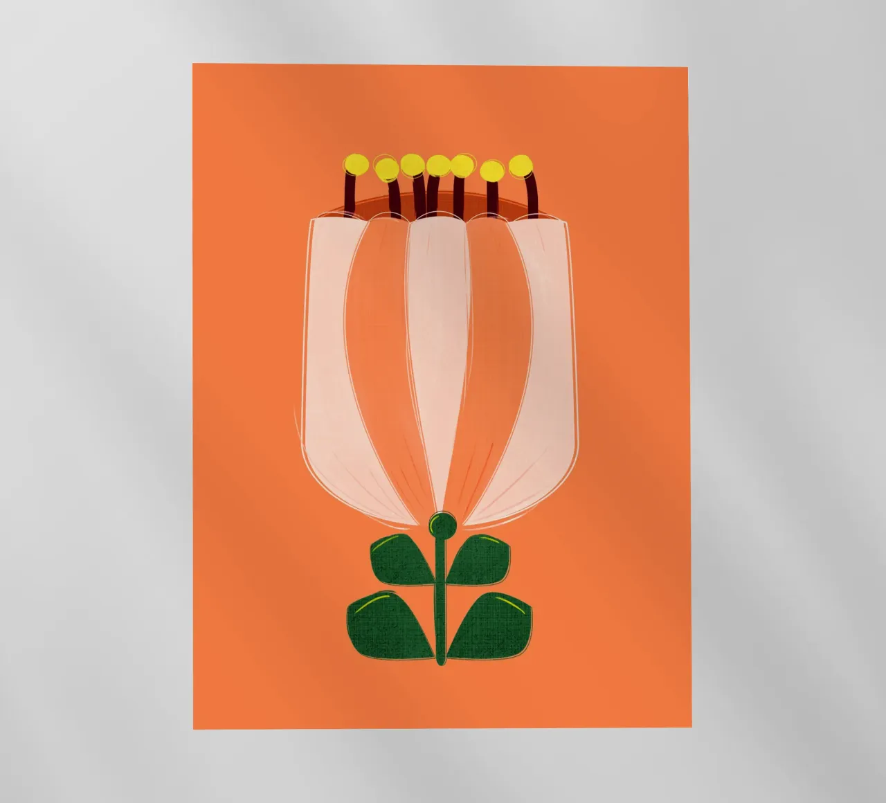 Minimalist Tulip Art Print - Orange and White pellicola backlit da showmemars