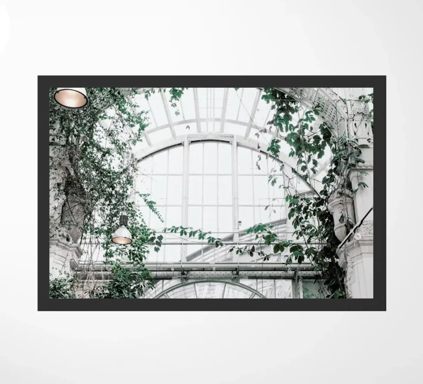 Palmenhaus zerbino da Picture On The Fridge