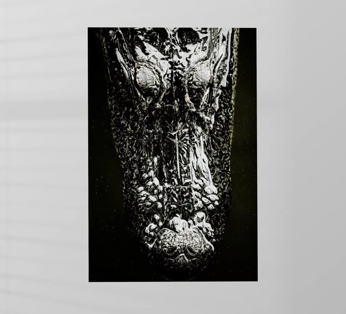 Gator pellicola backlit da Shot By Clint