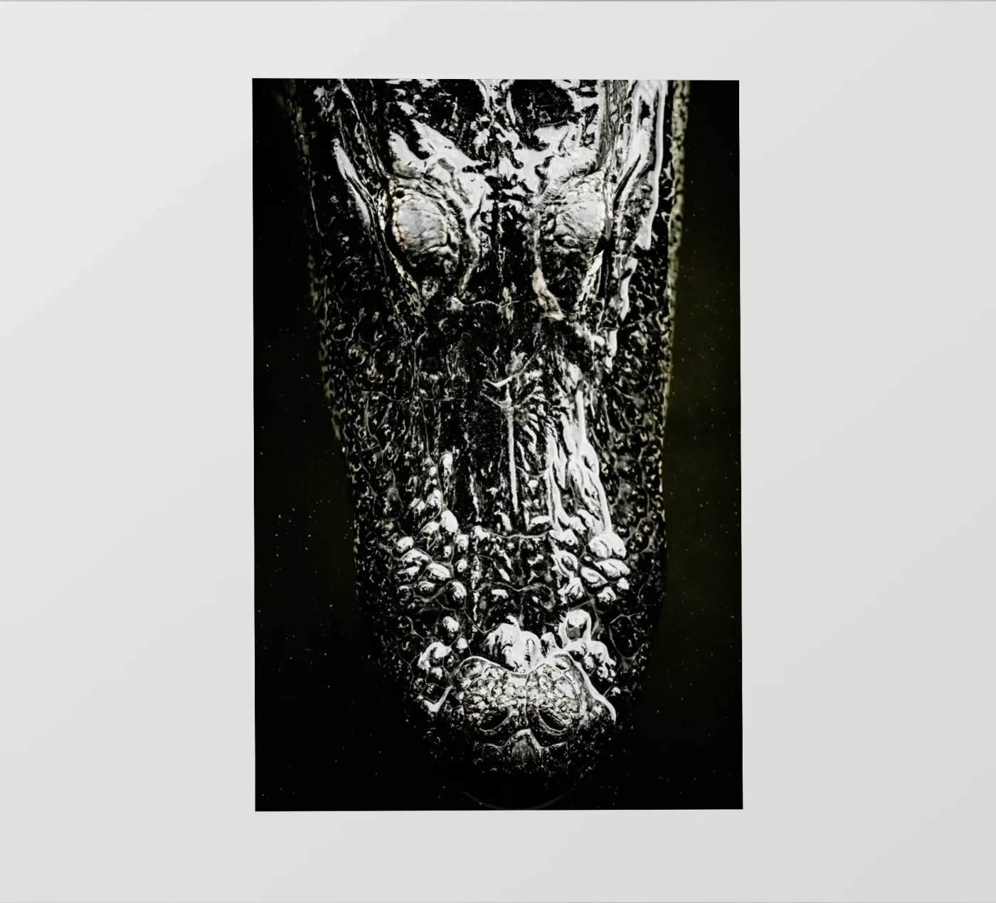 Gator pellicola backlit da Shot By Clint