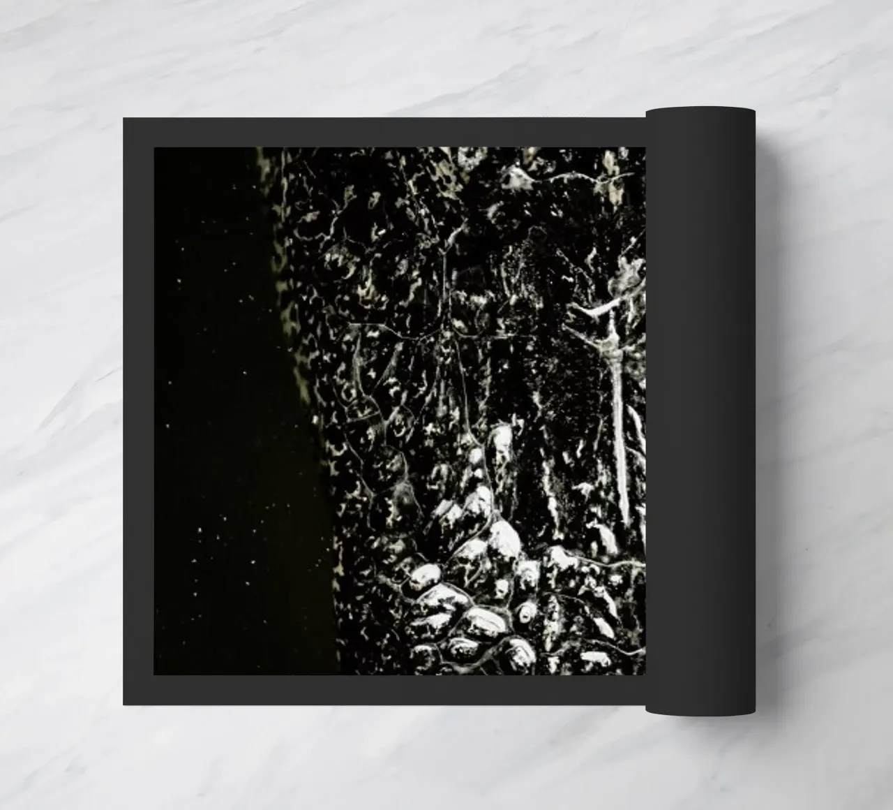 Gator zerbino da Shot By Clint