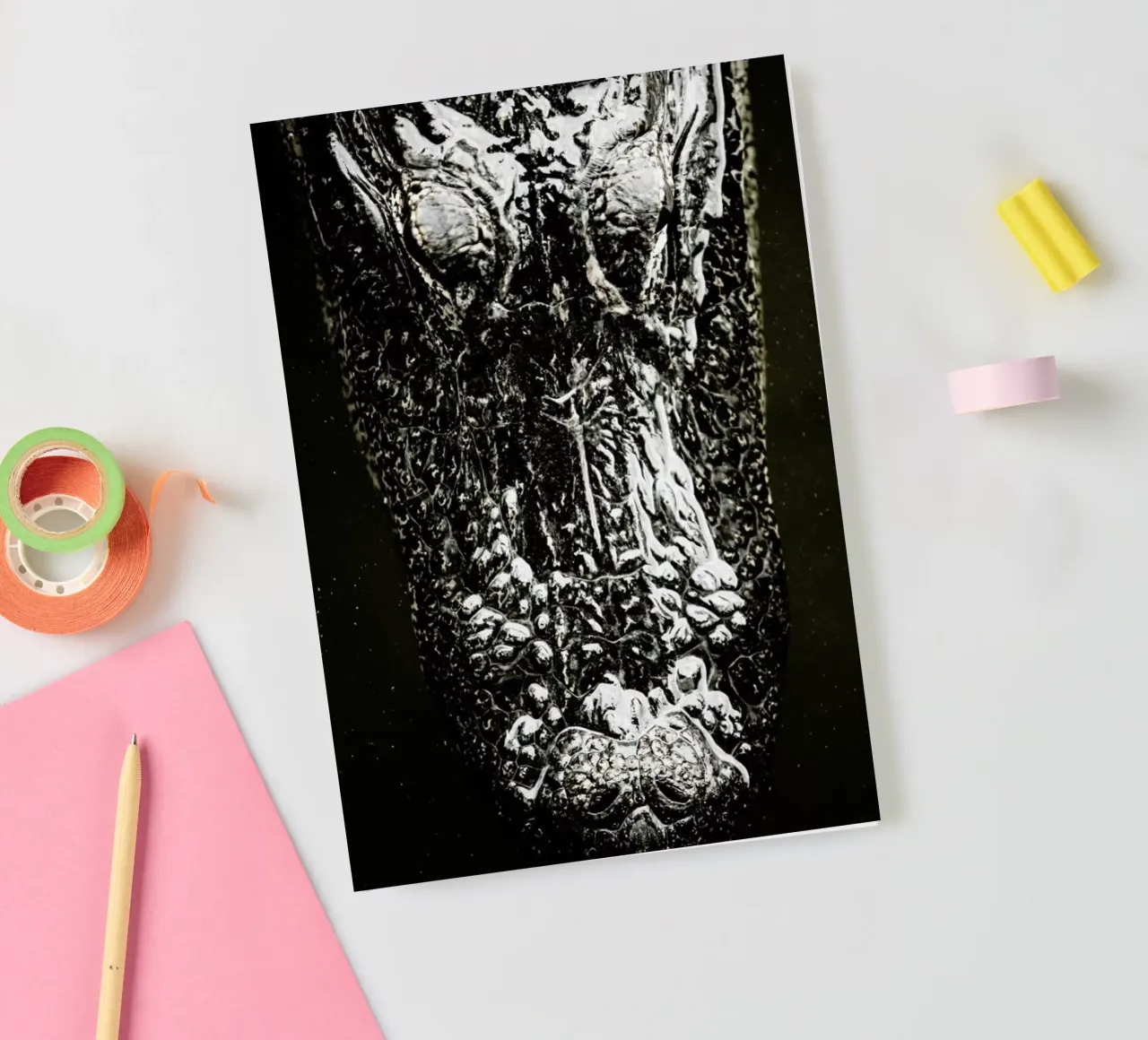 Gator notebook by Shot By Clint