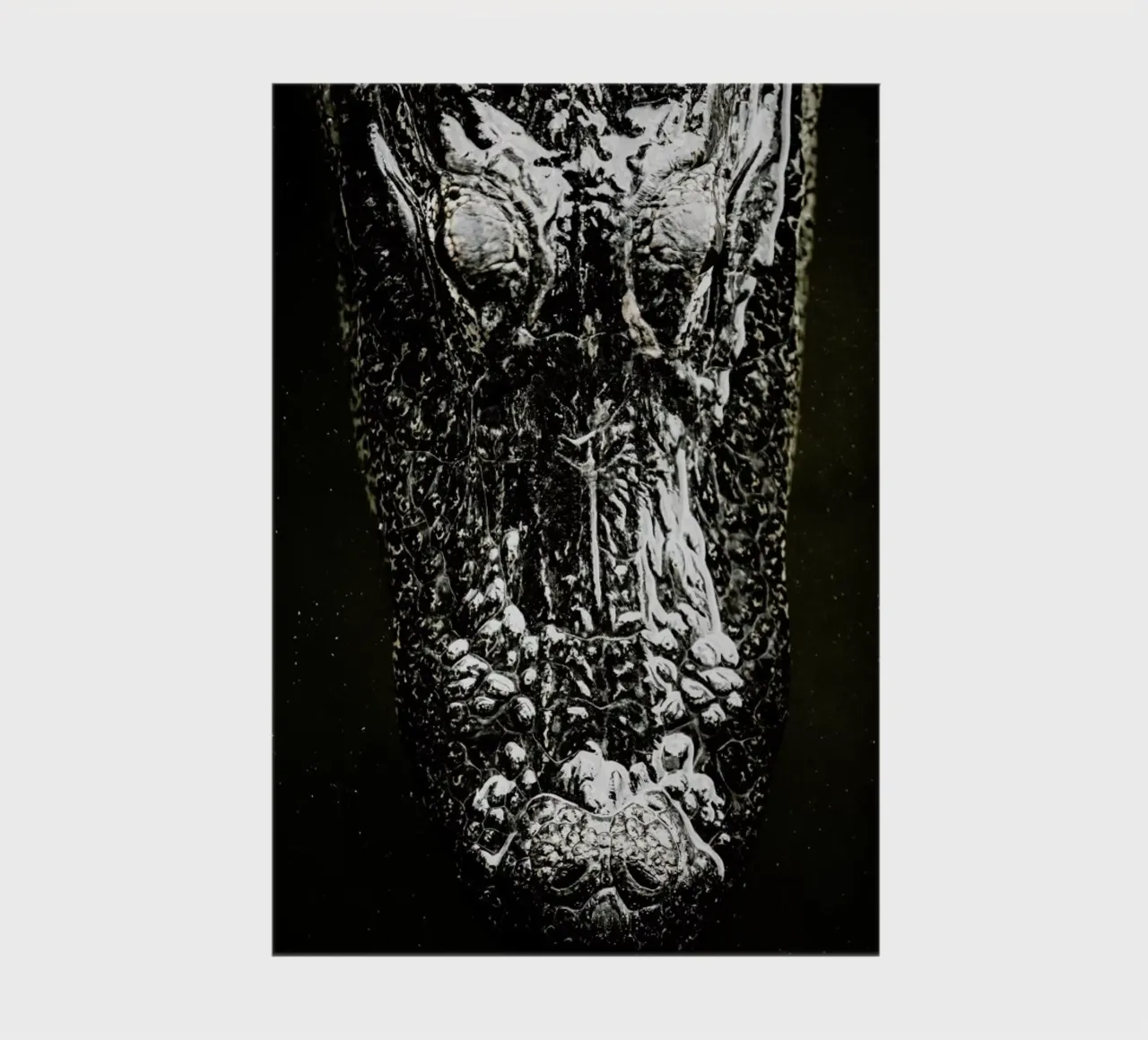 Gator notebook by Shot By Clint