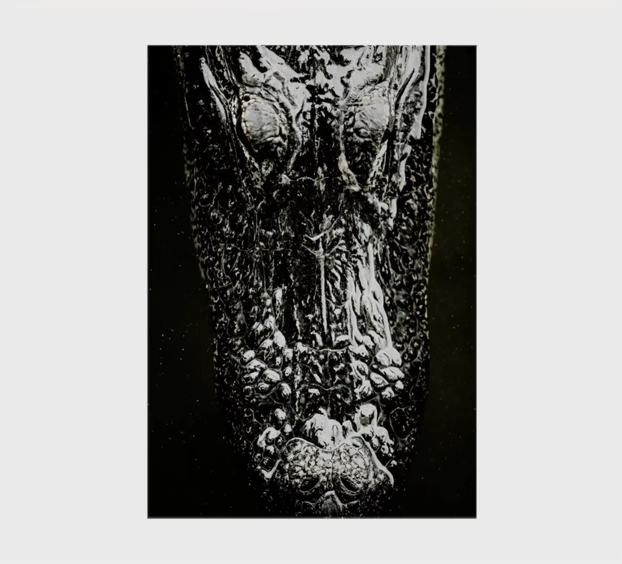 Gator notebook by Shot By Clint