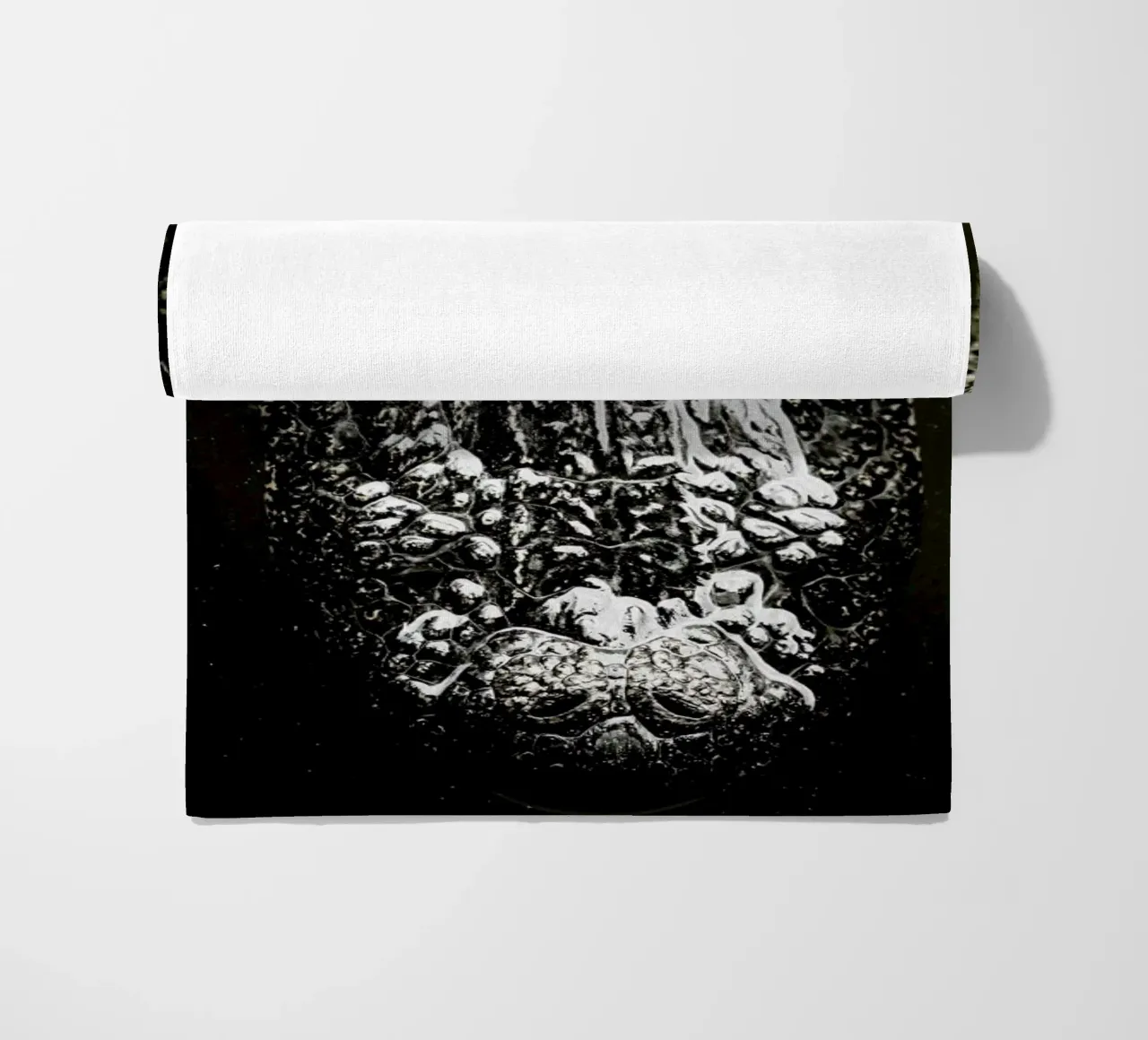 Gator telo mare da Shot By Clint