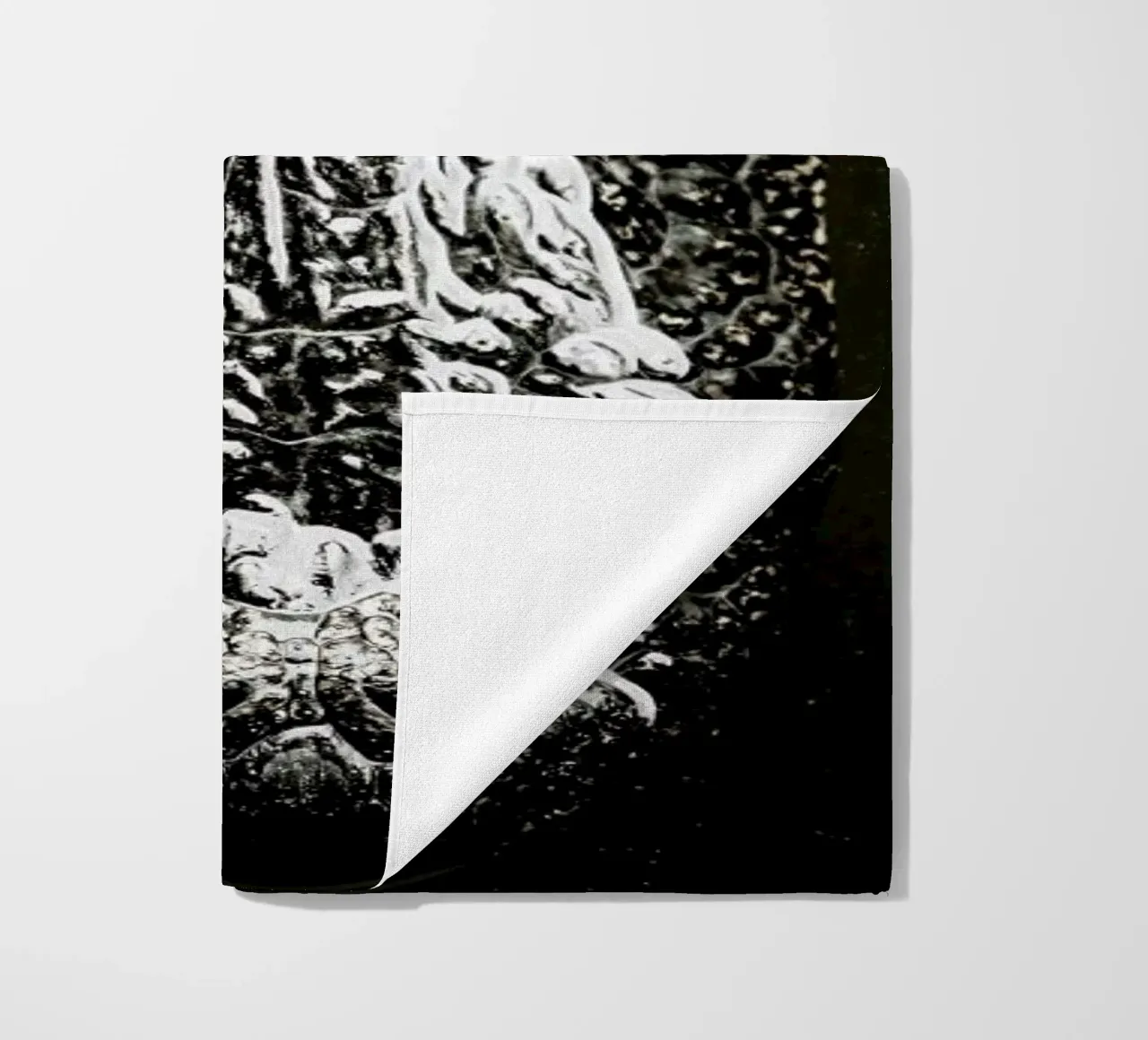 Gator telo mare da Shot By Clint