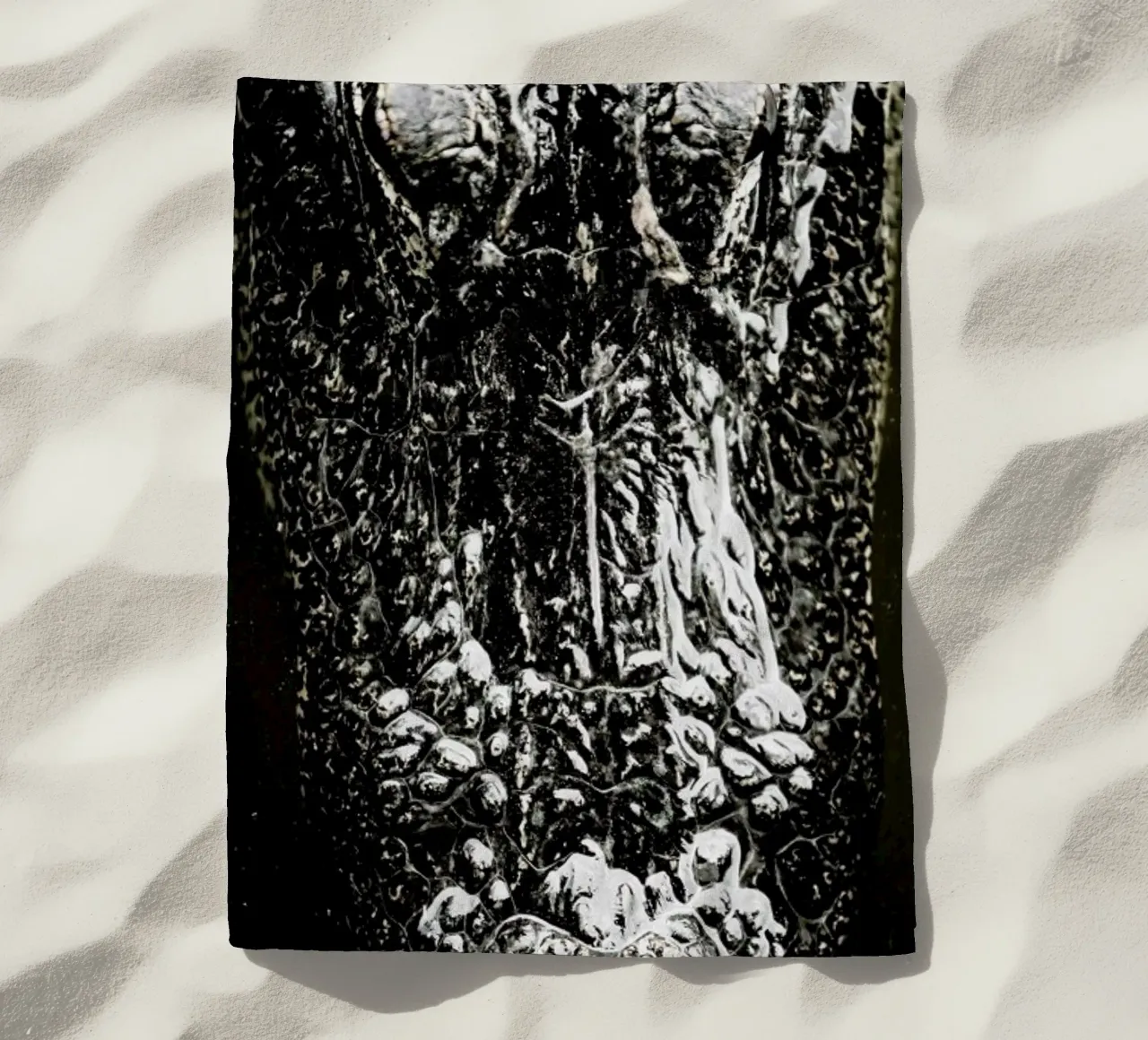 Gator telo mare da Shot By Clint