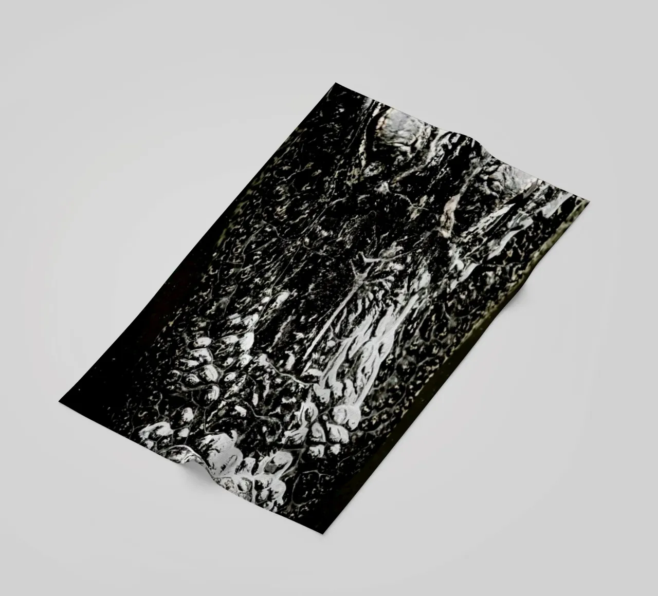 Gator telo mare da Shot By Clint