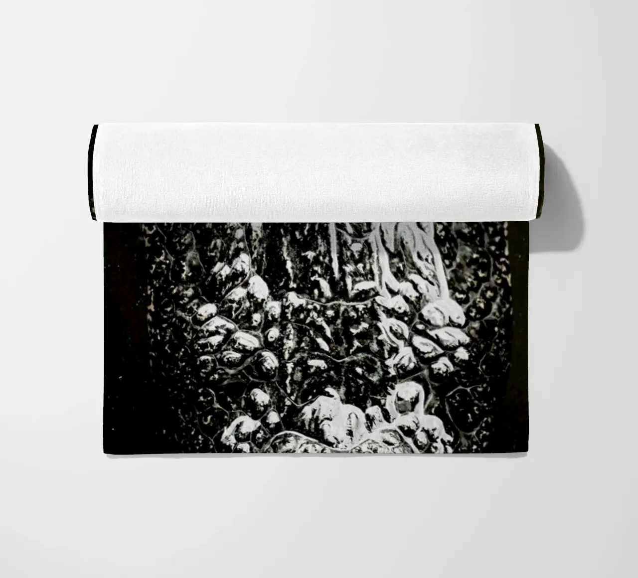 Gator telo mare da Shot By Clint