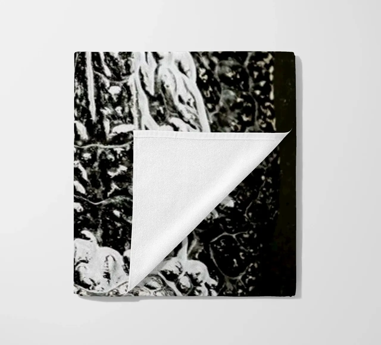 Gator telo mare da Shot By Clint