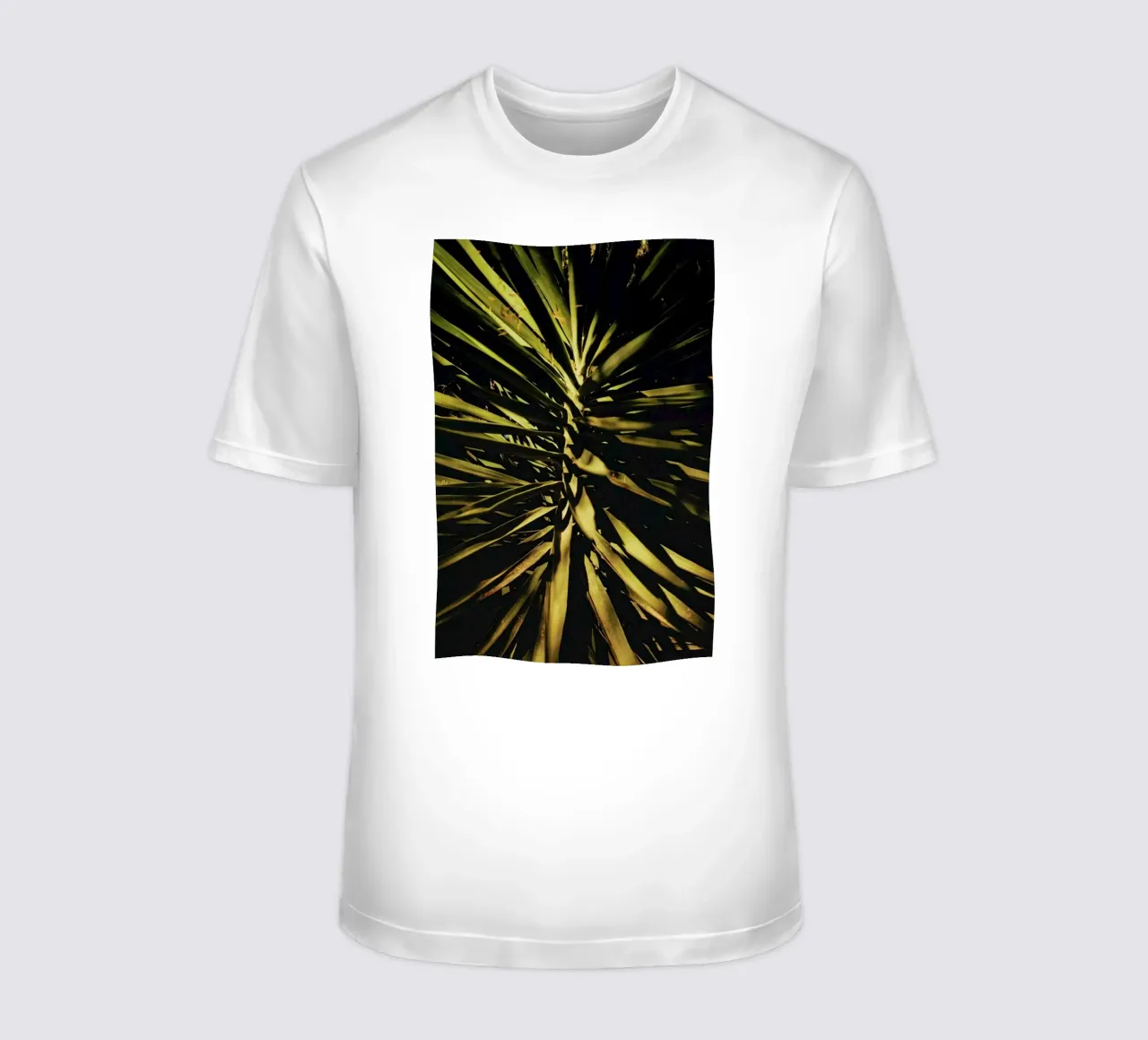 The Palm II t-shirt da Pale Grain