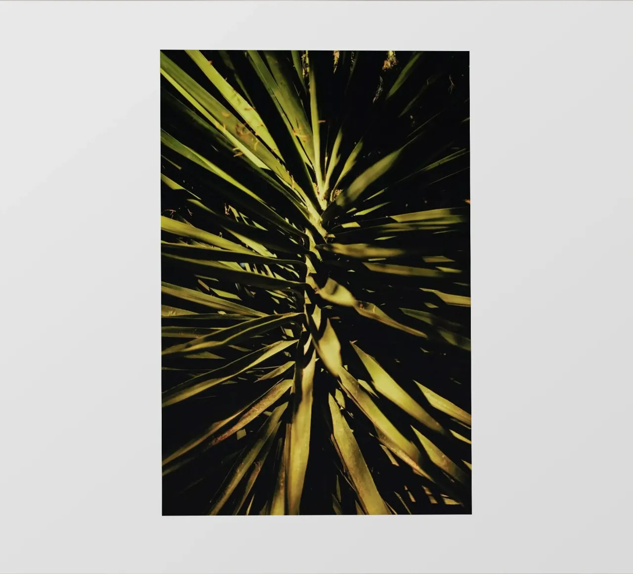 The Palm II telo in pvc da Pale Grain