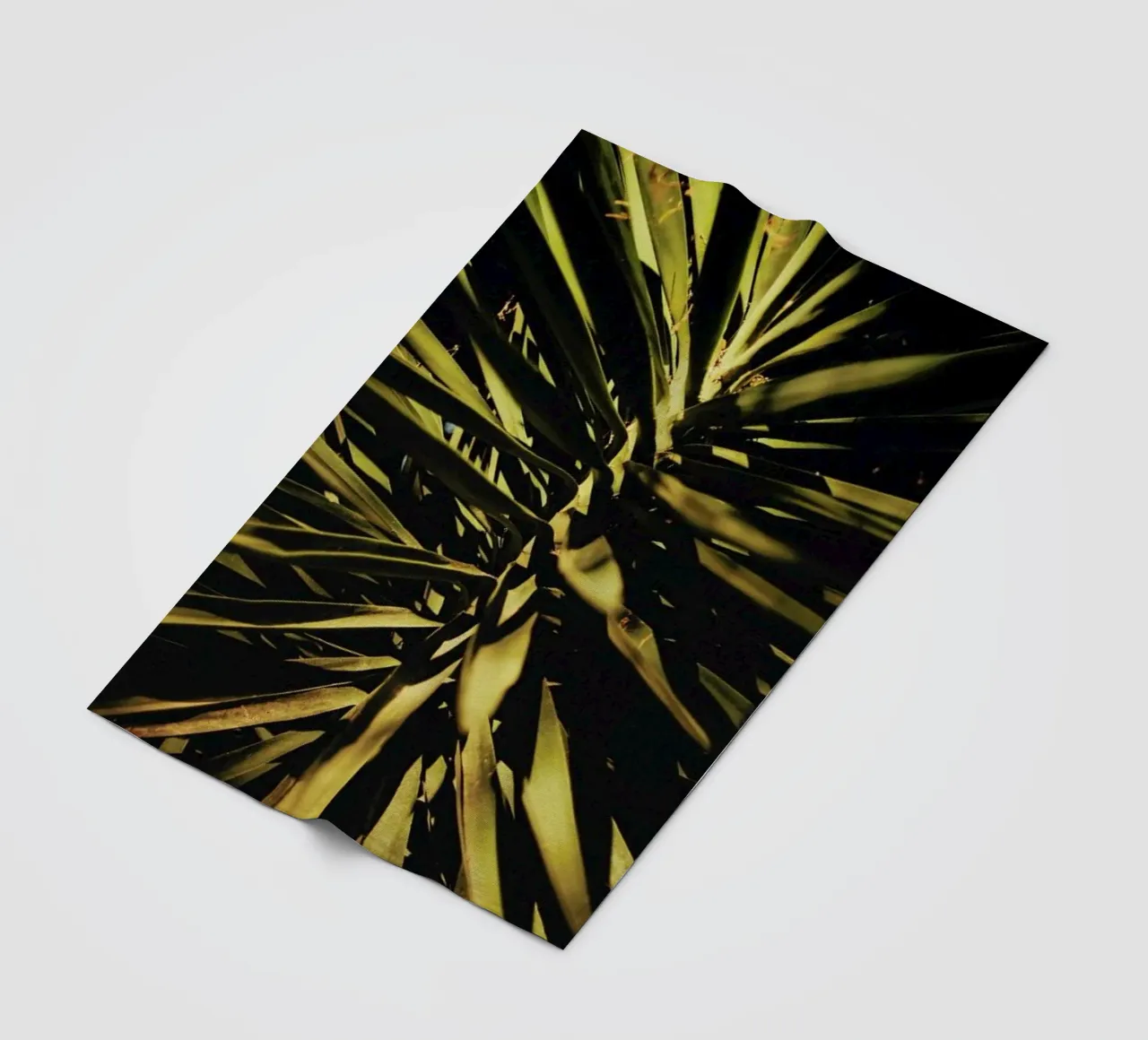 The Palm II coperta in pile da Pale Grain