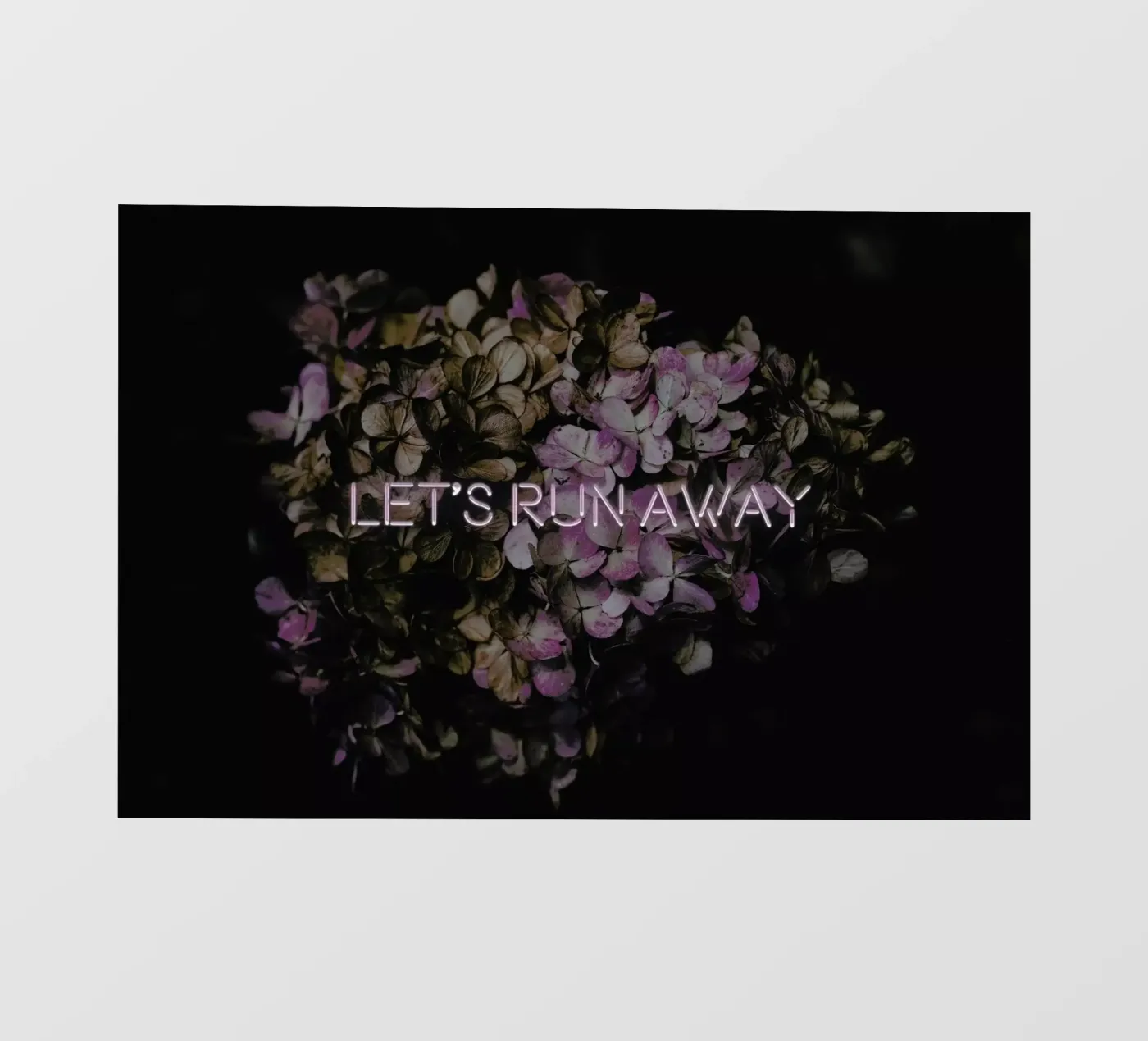 Let's run away pellicola backlit da Oh Darling