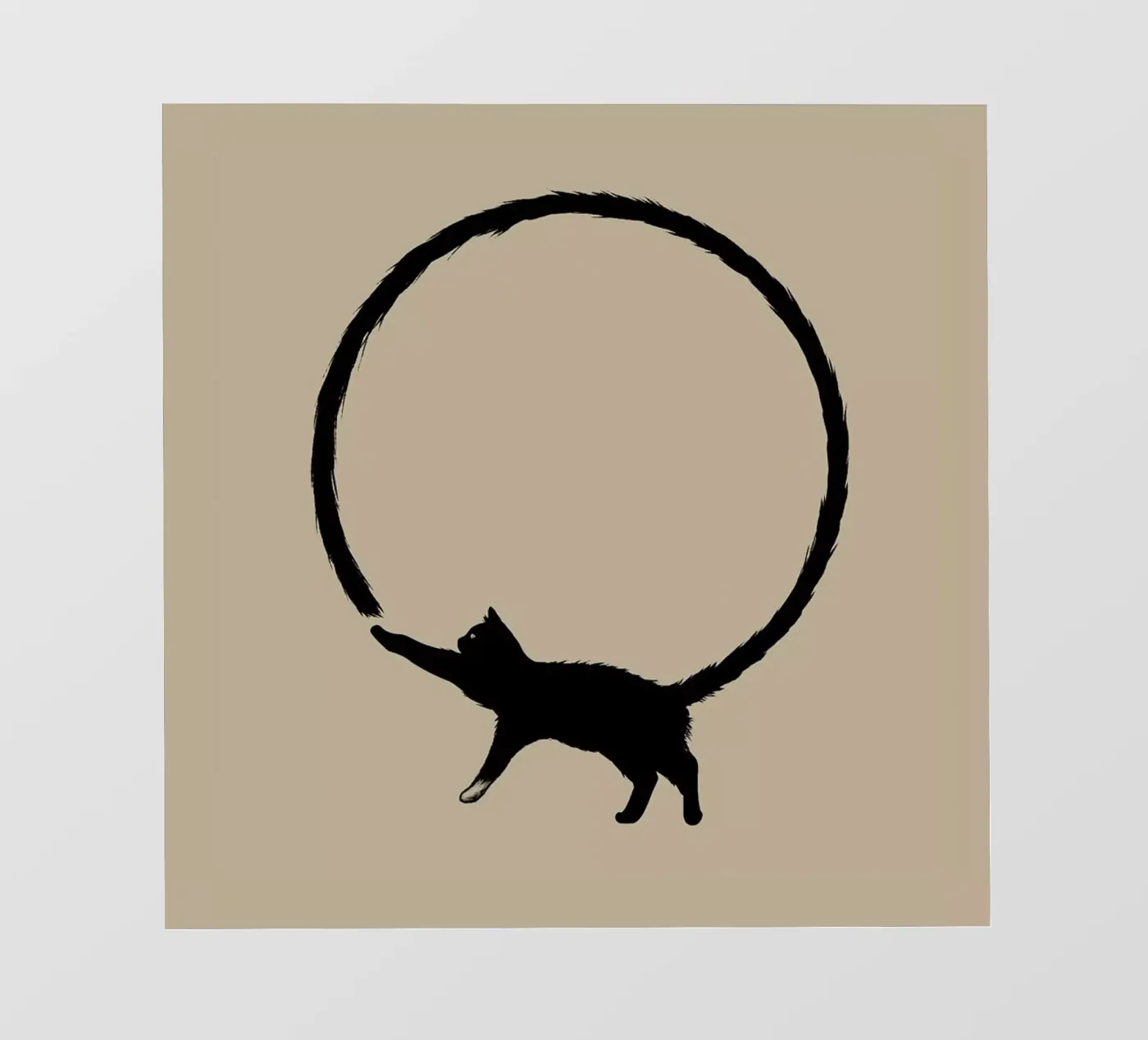 Cat Circle pellicola backlit da Jared Yamahata