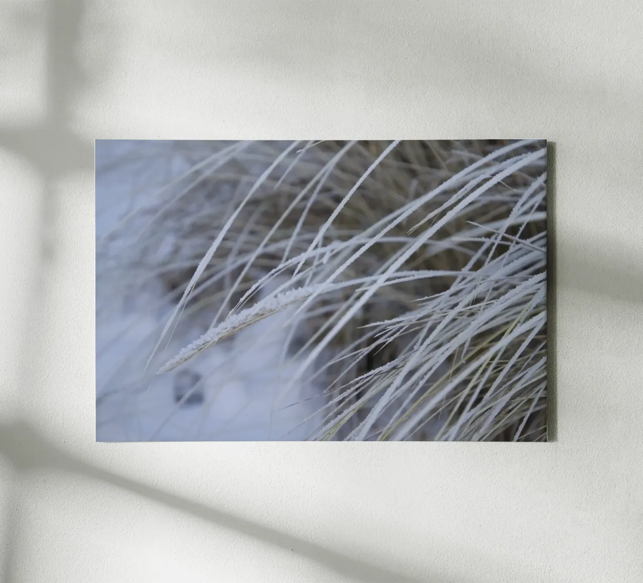 Snow on the Beach Leinwand von Saskia Kamenz