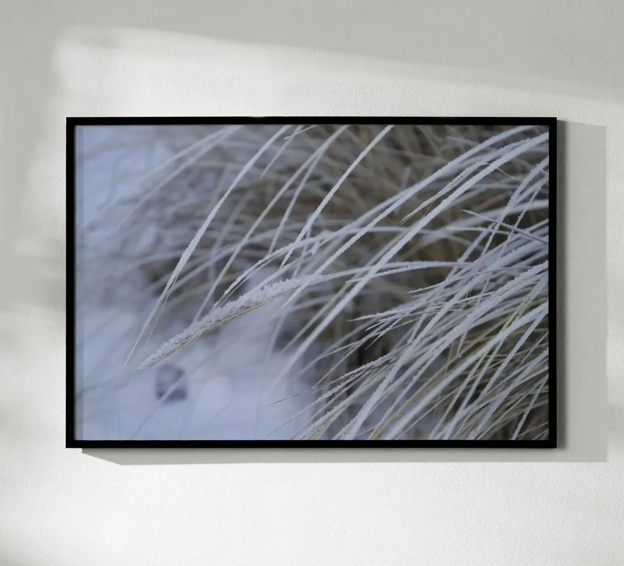 Snow on the Beach carta hahnemühle da Saskia Kamenz