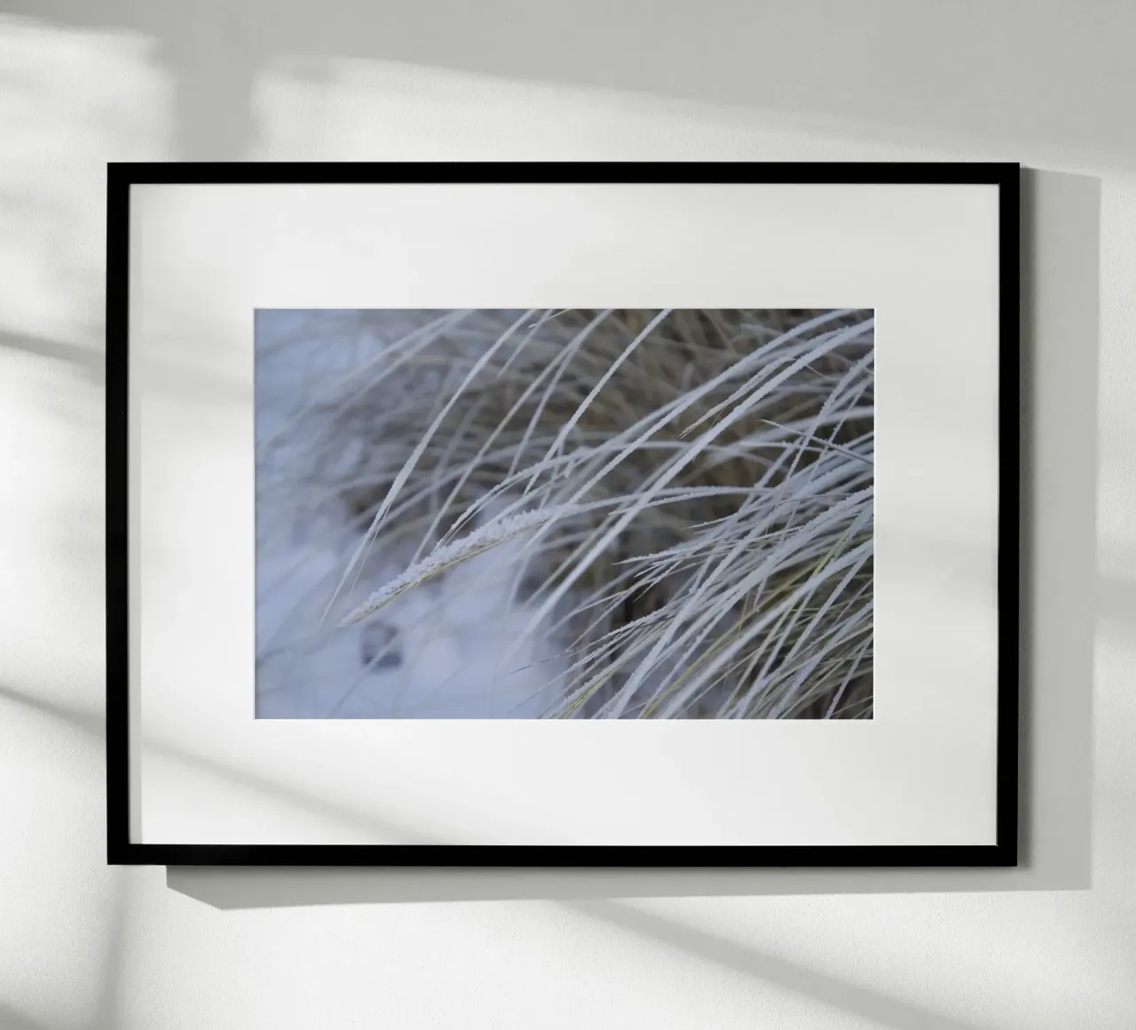 Snow on the Beach carta hahnemühle da Saskia Kamenz