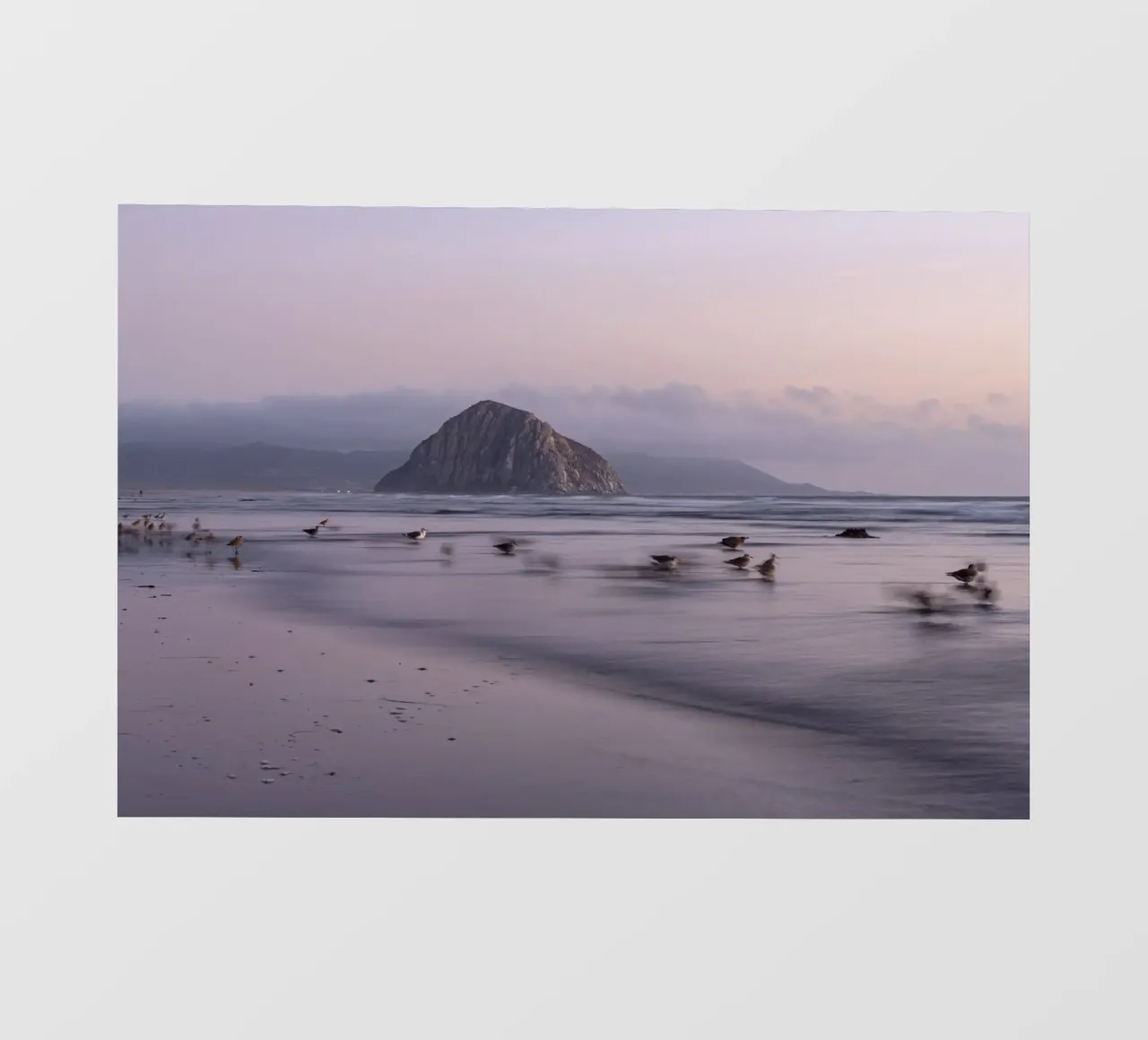 Morro Rock 1 pellicola backlit da Barbara Buderath Fotodesign