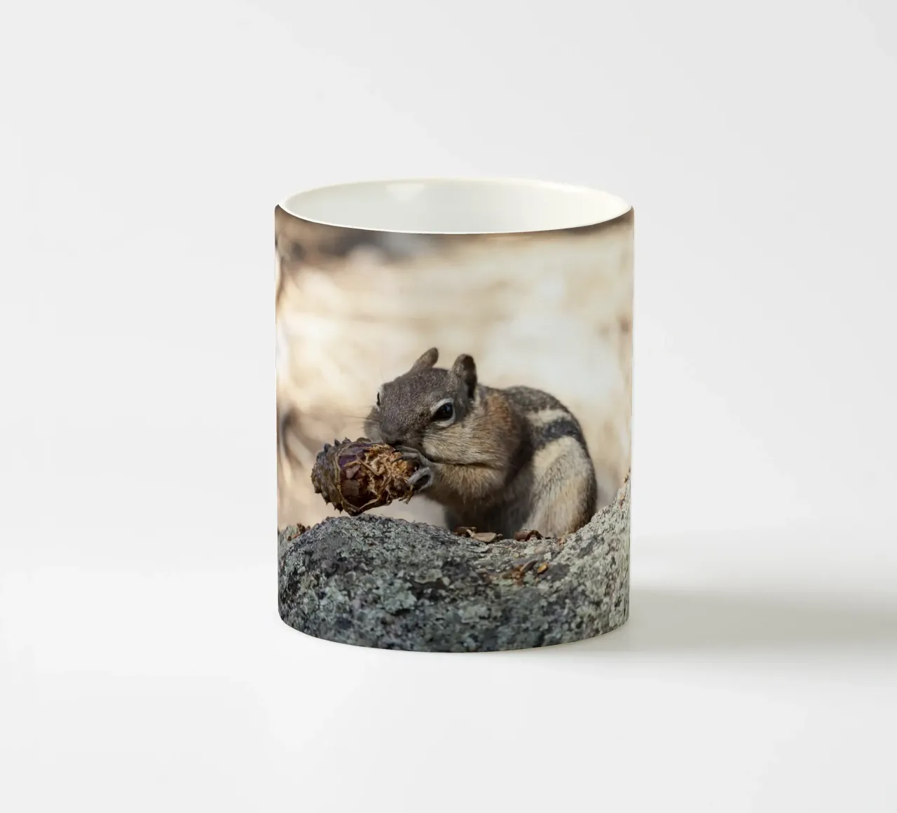 Squirrel tazza in ceramica da Barbara Buderath Fotodesign