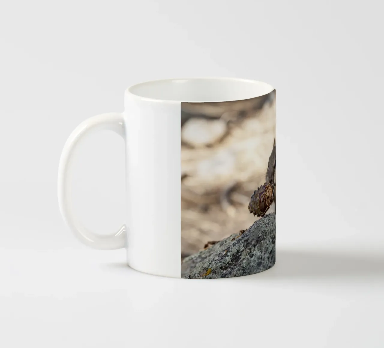 Squirrel tazza in ceramica da Barbara Buderath Fotodesign