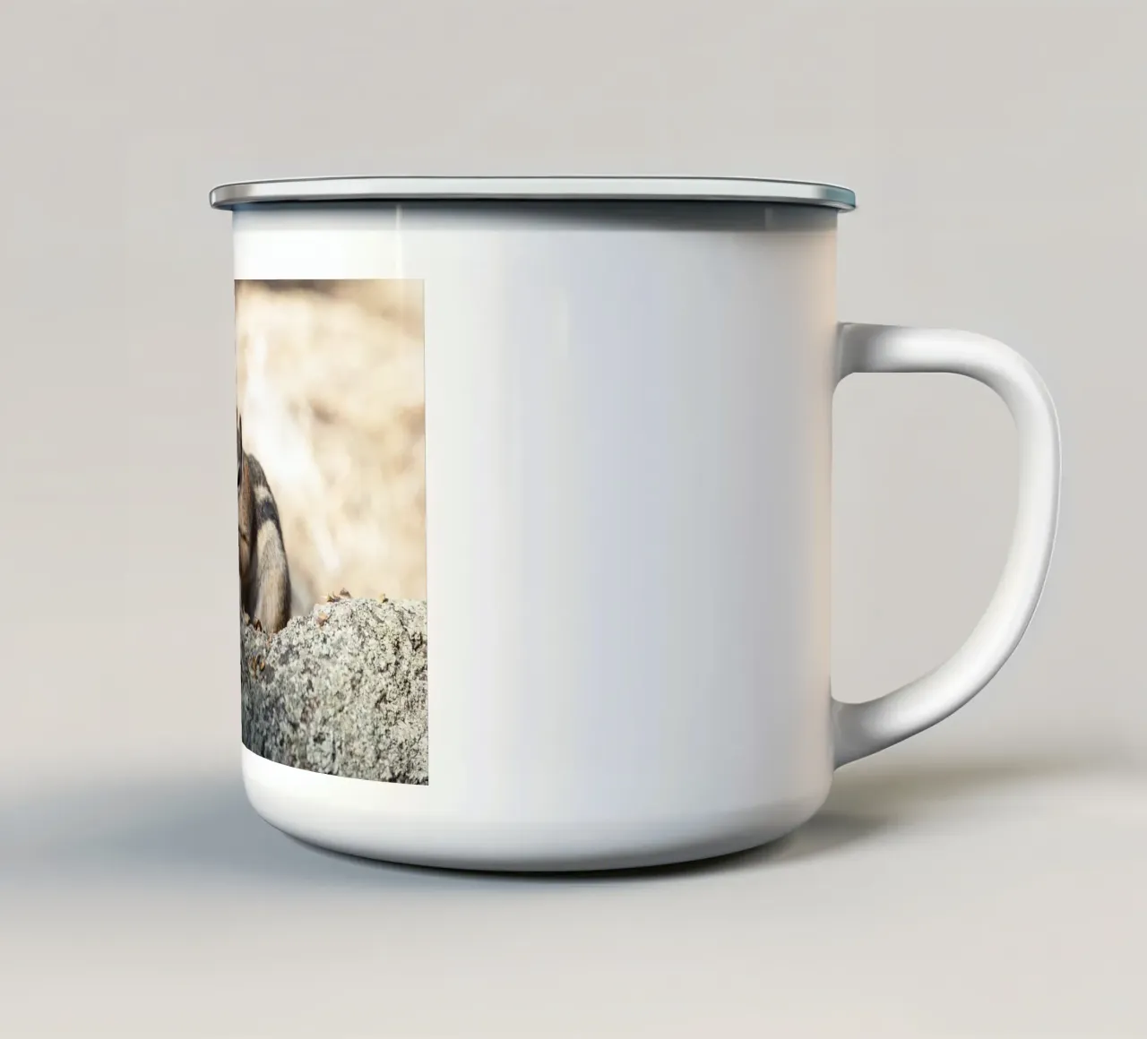 Squirrel tazza in smalto da Barbara Buderath Fotodesign