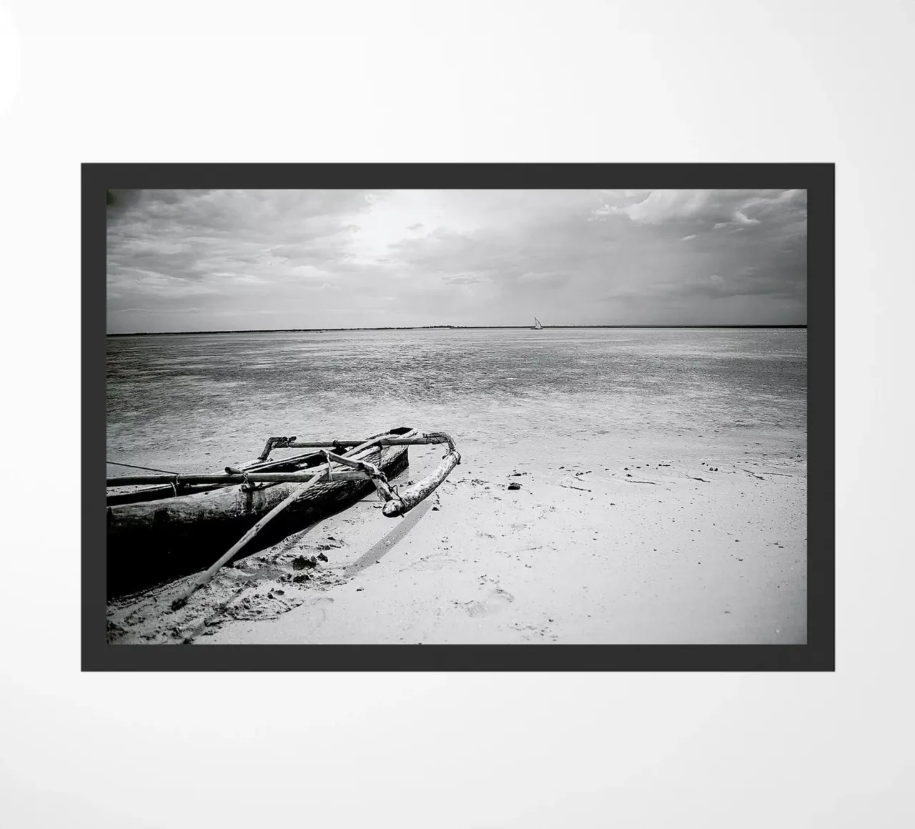 Mozam zerbino da Shot By Clint