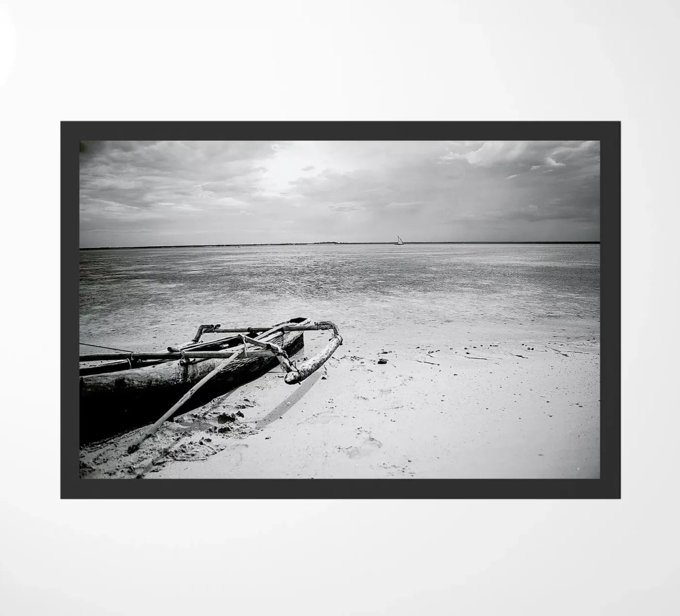 Mozam zerbino da Shot By Clint