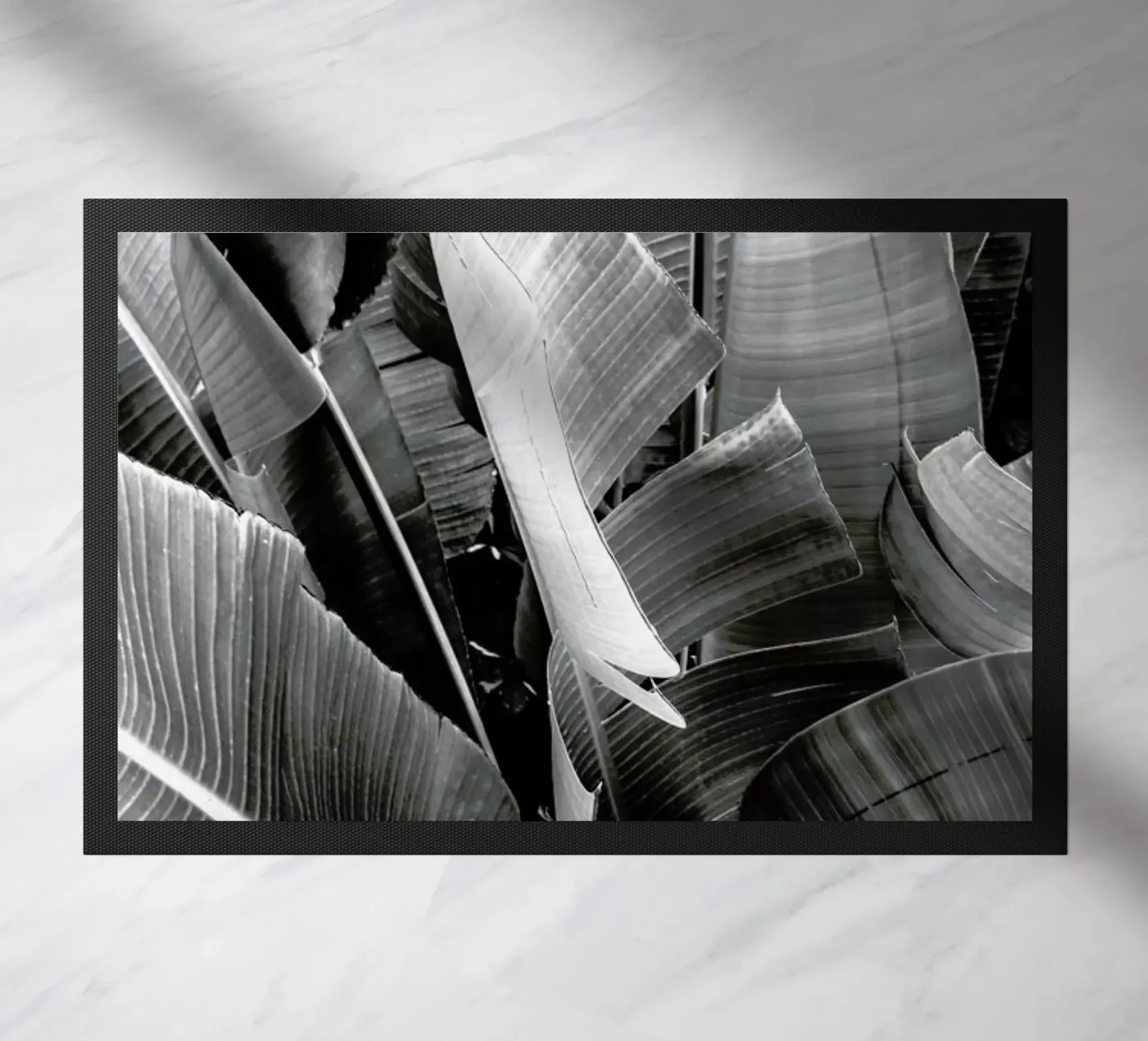 Palms zerbino da Victoria Frost