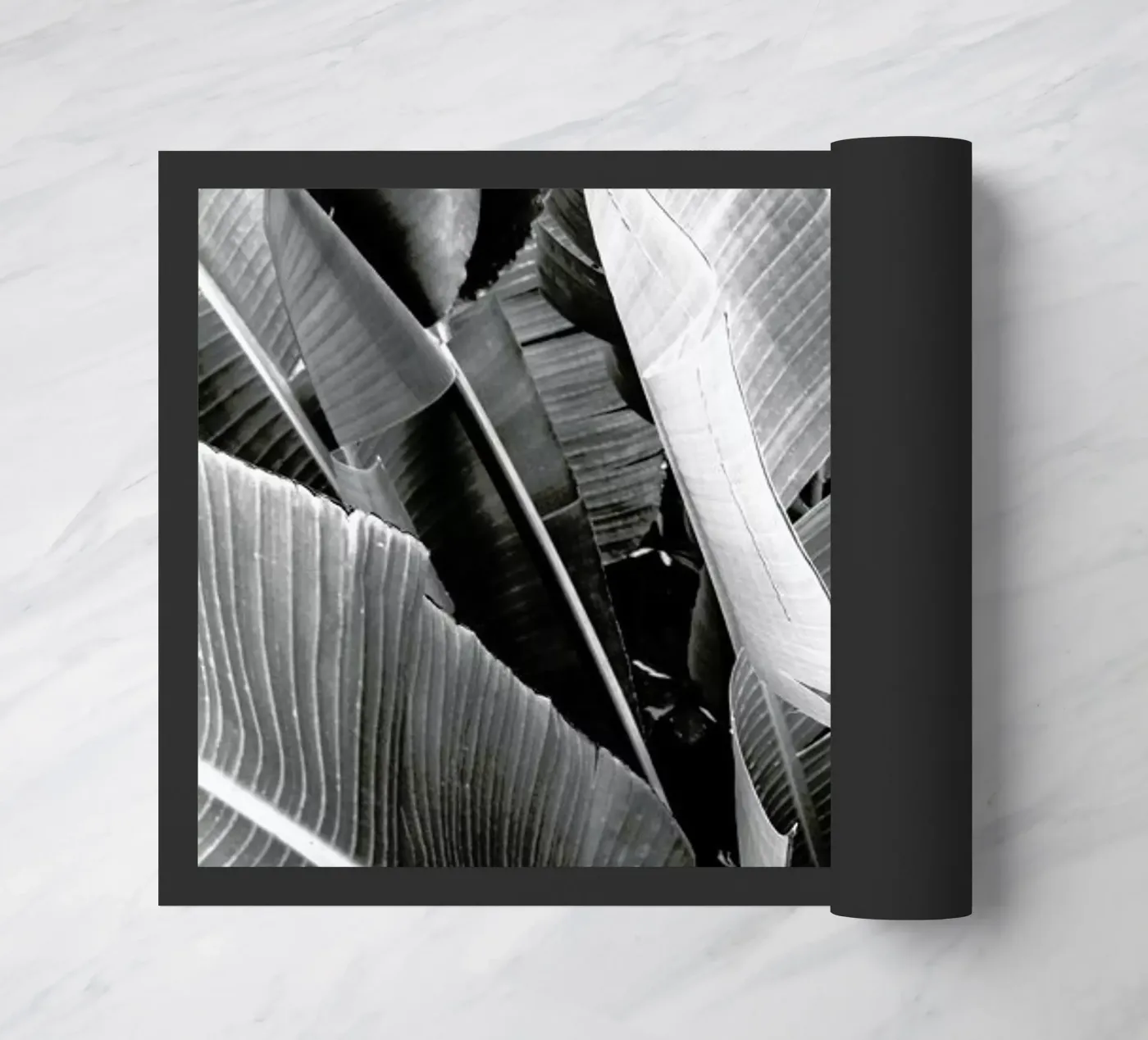 Palms zerbino da Victoria Frost