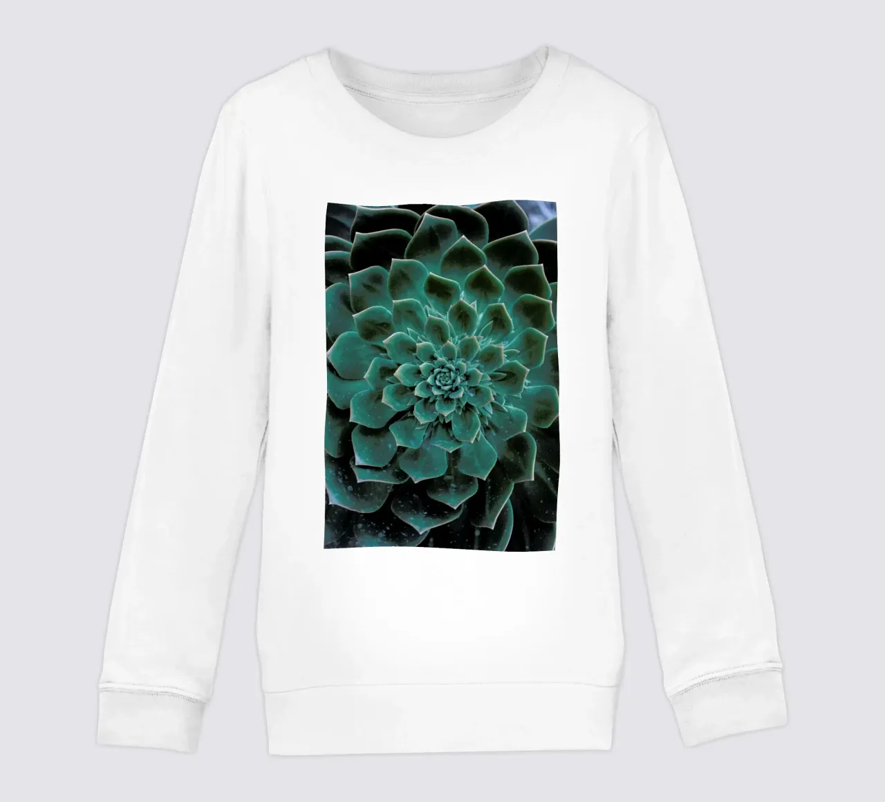 Succulent felpa bambino da Victoria Frost