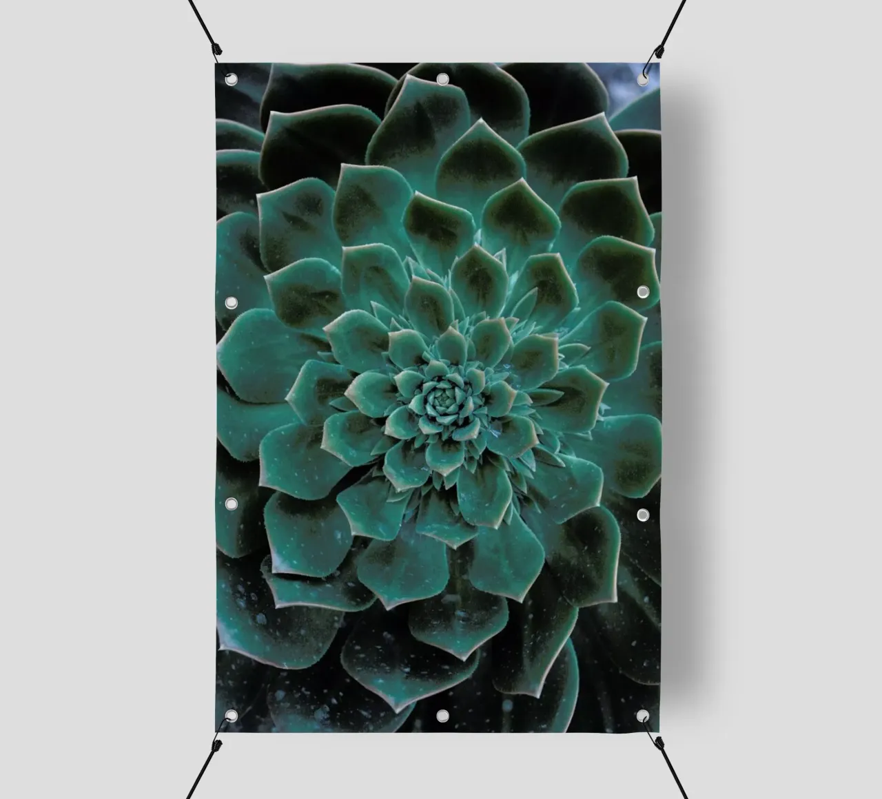 Succulent telo in pvc da Victoria Frost